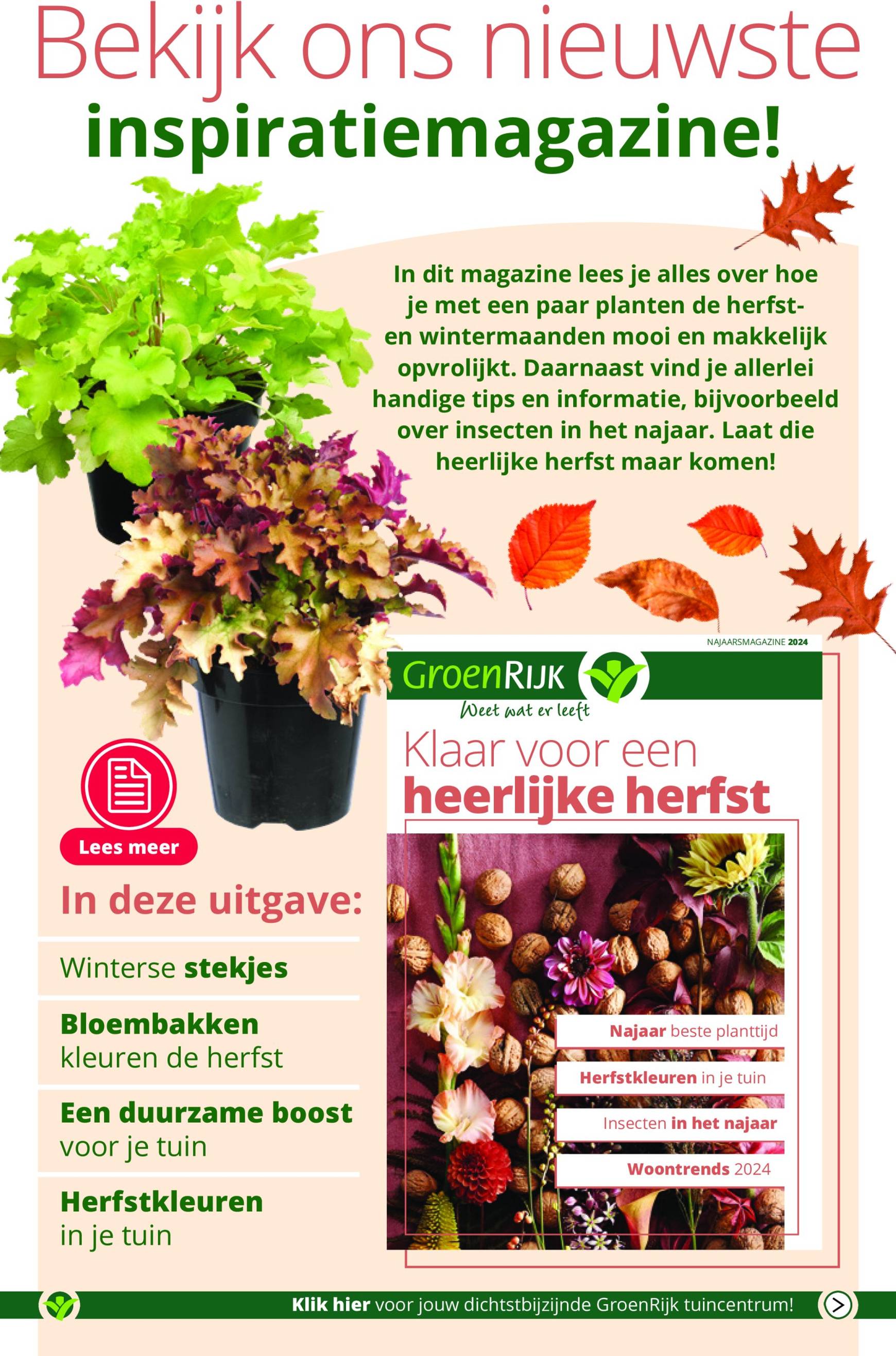 GroenRijk folder huidig 02.10. - 08.10. 12