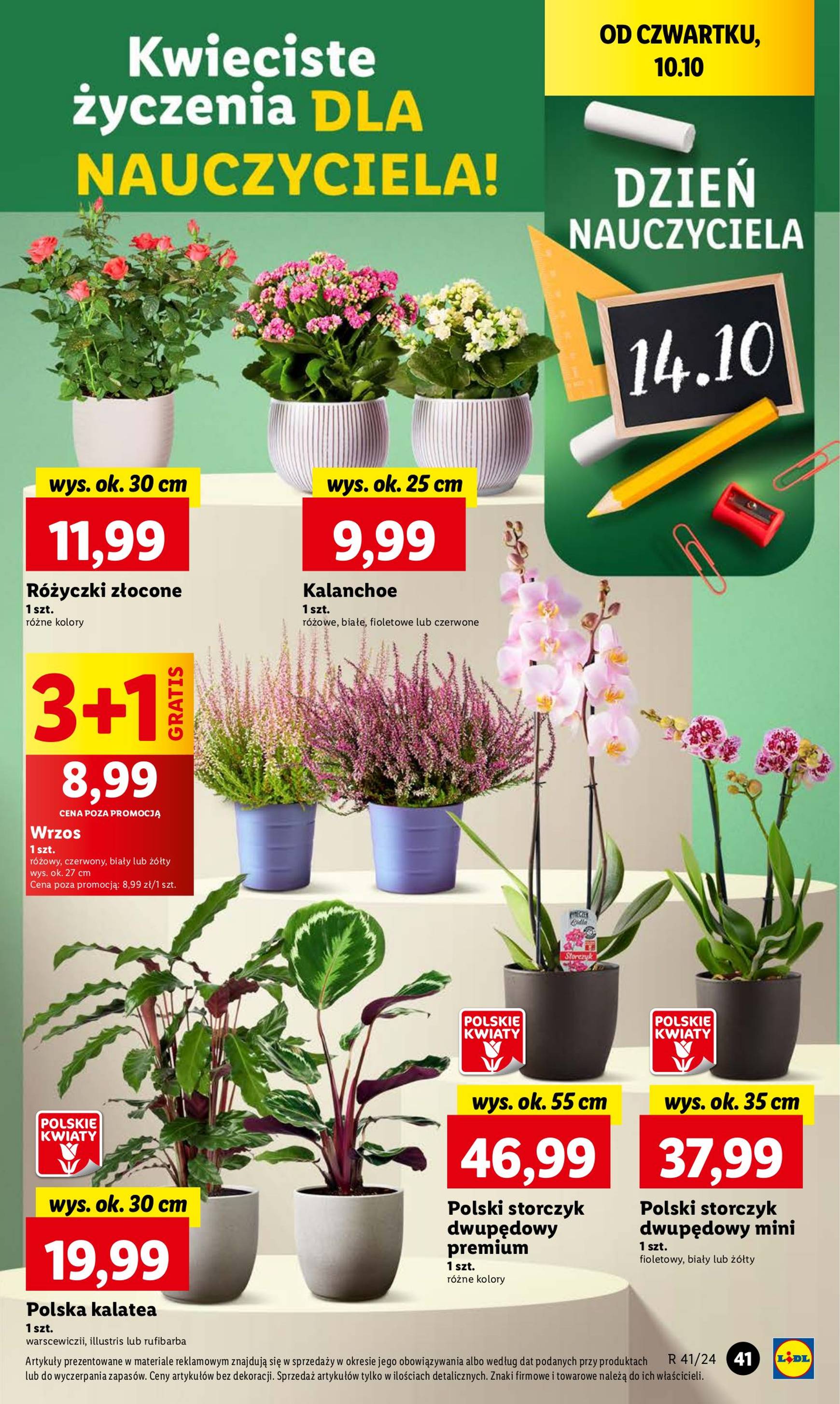 Lidl gazetka ważna od 10.10. - 12.10. 47