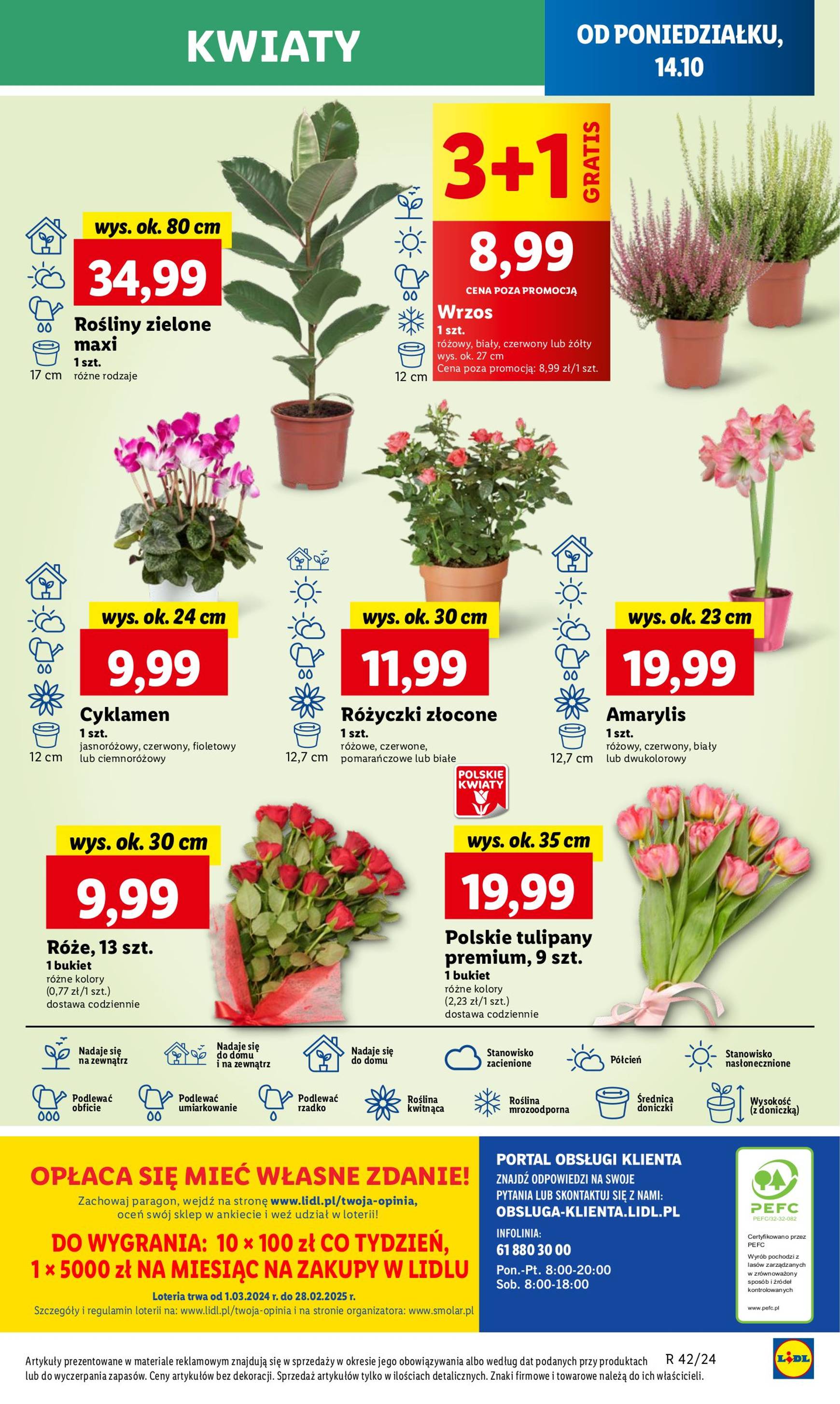 Lidl gazetka ważna od 14.10. - 16.10. 51