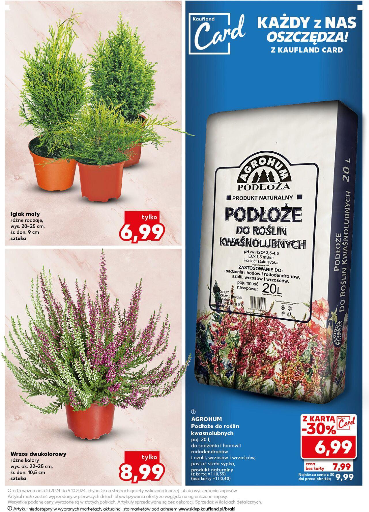 Kaufland gazetka - Znicze 03.10.2024 - 09.10.2024 11