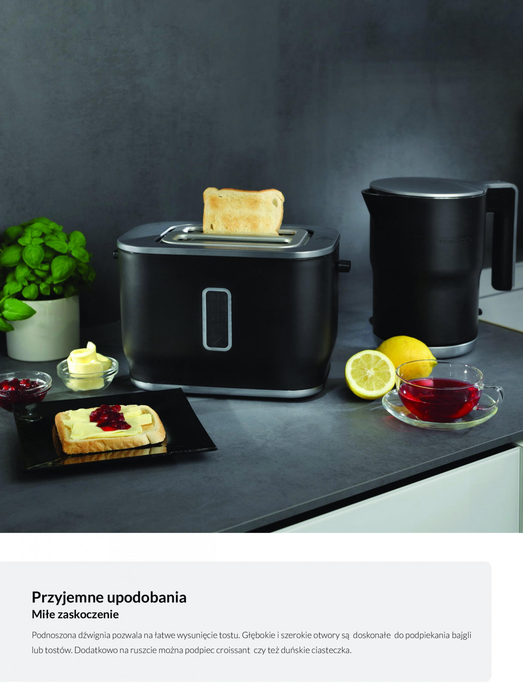 Agata Meble - Katalog sprzęt AGD - Gorenje 20