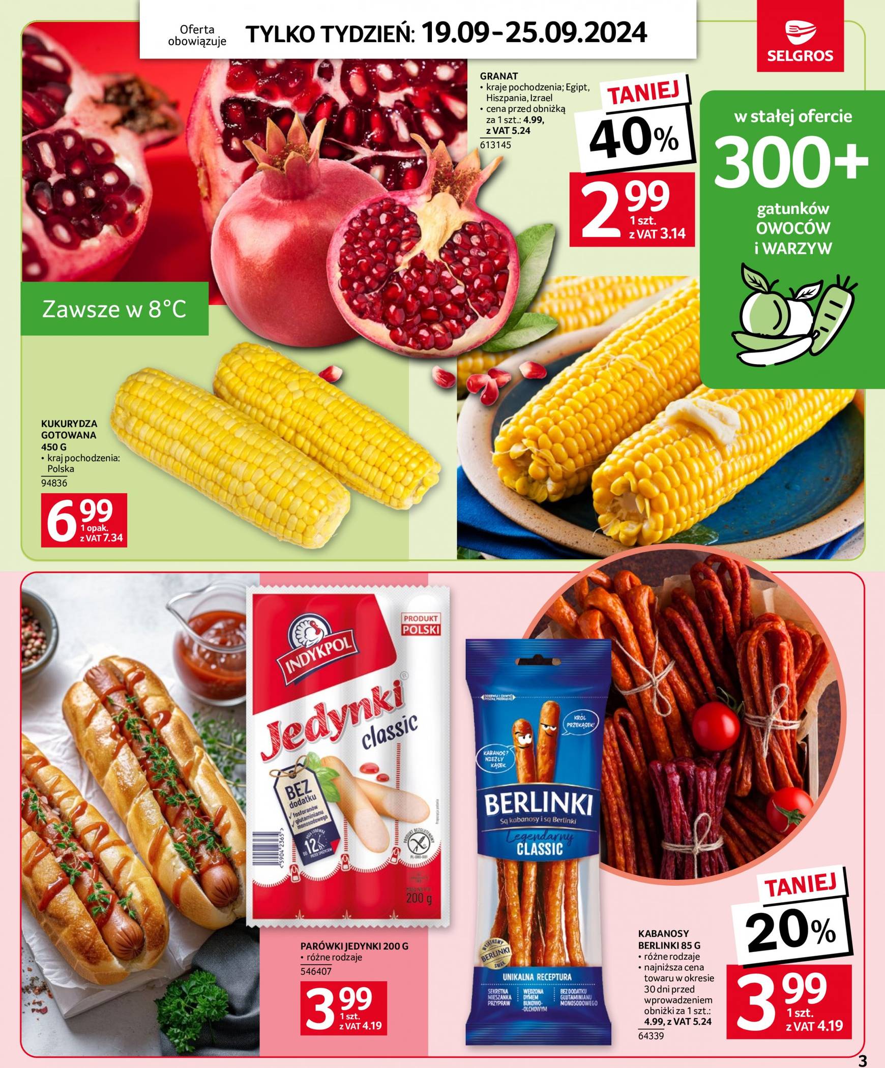 Aktualna Selgros cash&carry - Jeszcze więcej super promocji! gazetka ważna od 19.09. - 25.09. 3