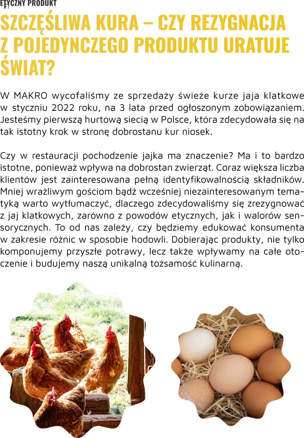 Makro Gazetka - Zrównoważona restauracja od poniedziałku 26.06.2023 47