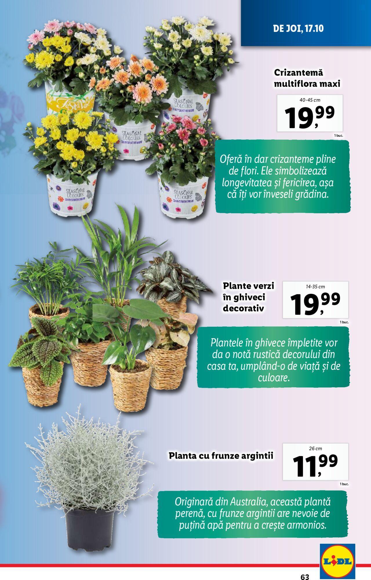 Catalog LIDL 14.10.2024 - 20.10.2024 63