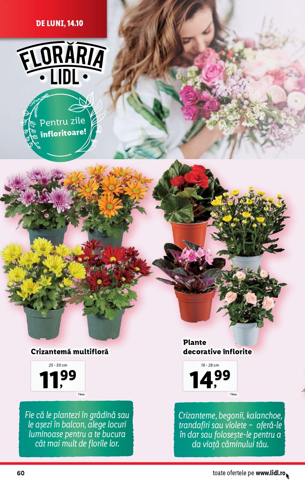 Catalog LIDL 14.10.2024 - 20.10.2024 60