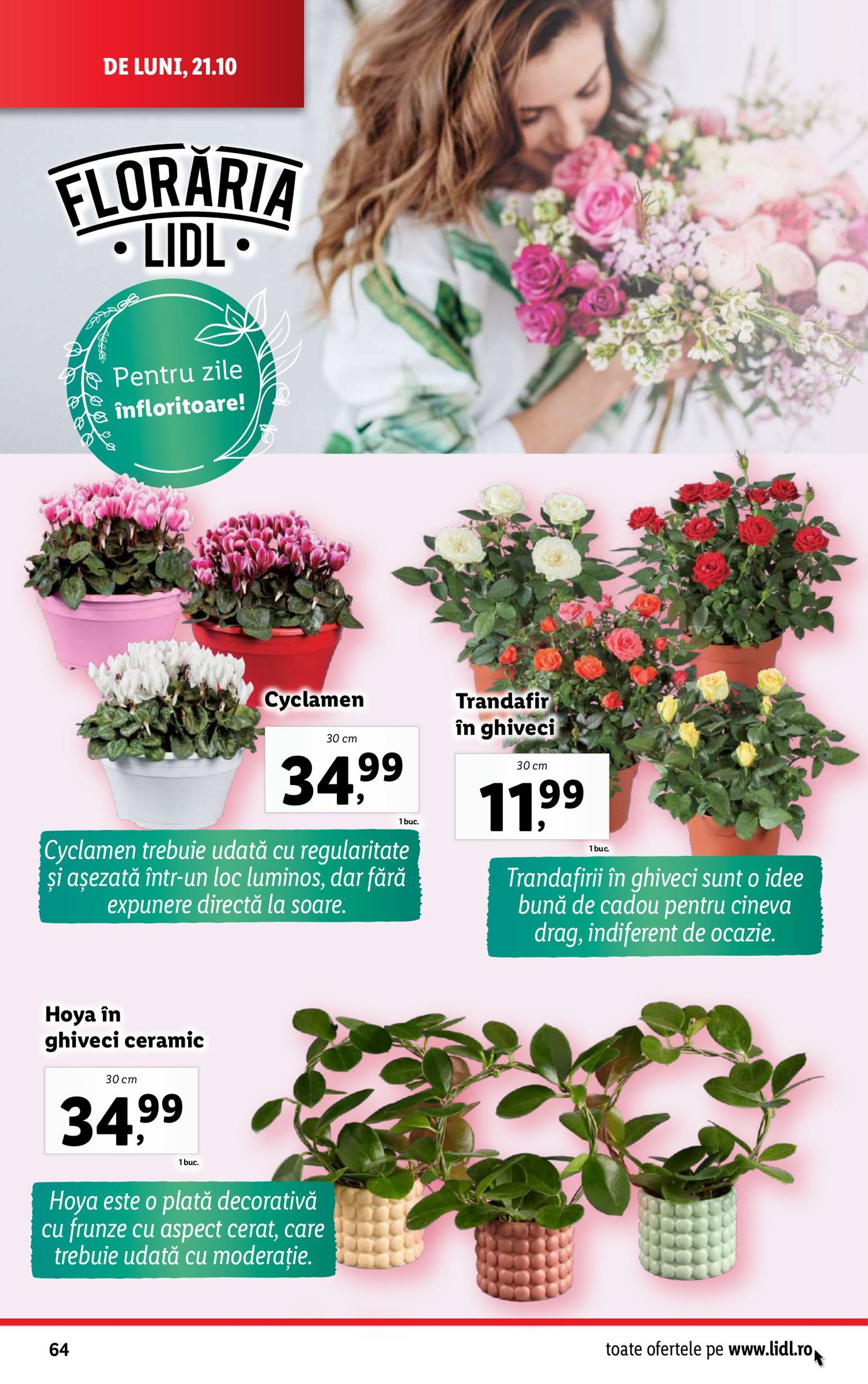 Catalog Lidl valabil din 21.10. - 27.10. 64