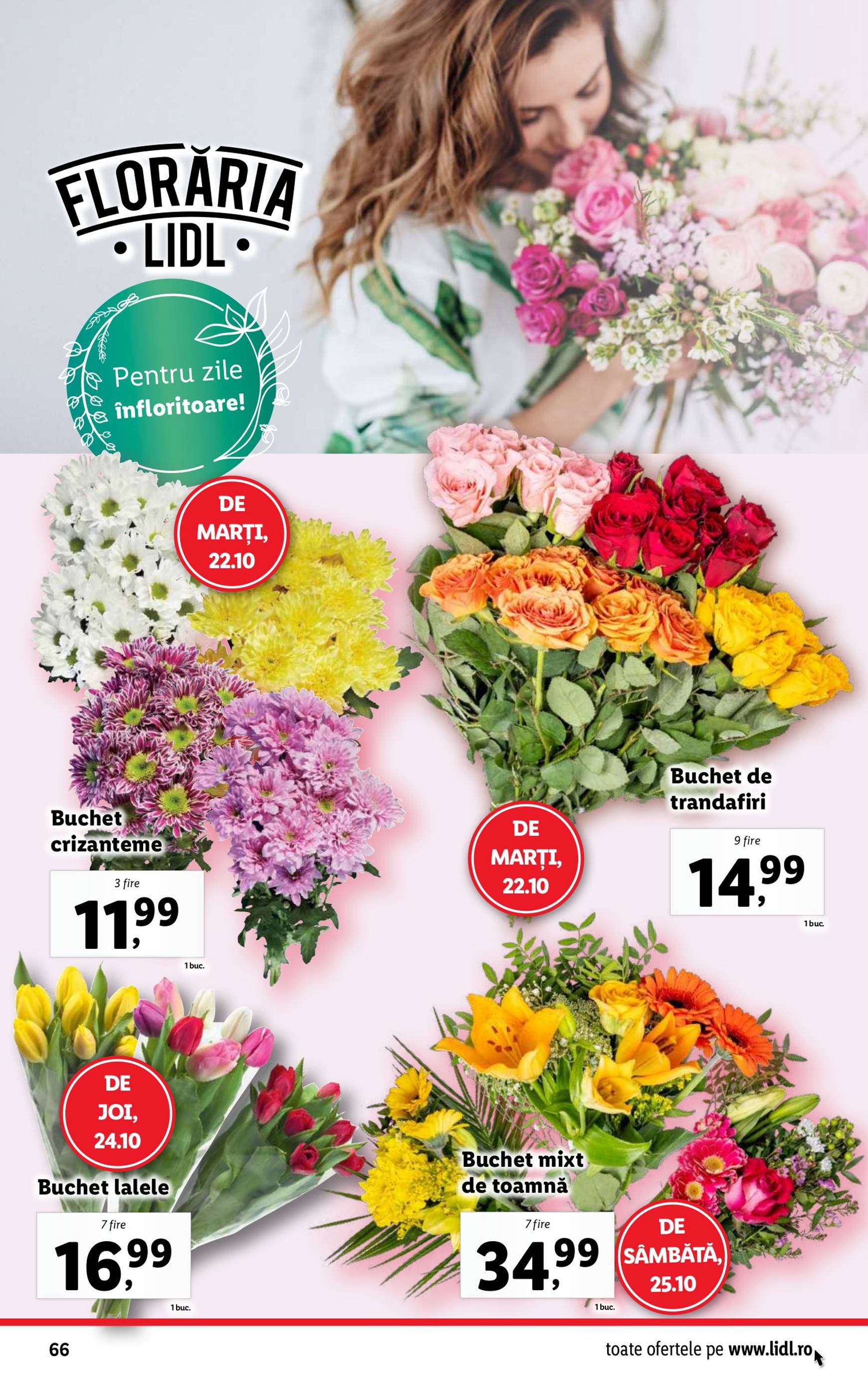 Catalog Lidl valabil din 21.10. - 27.10. 66