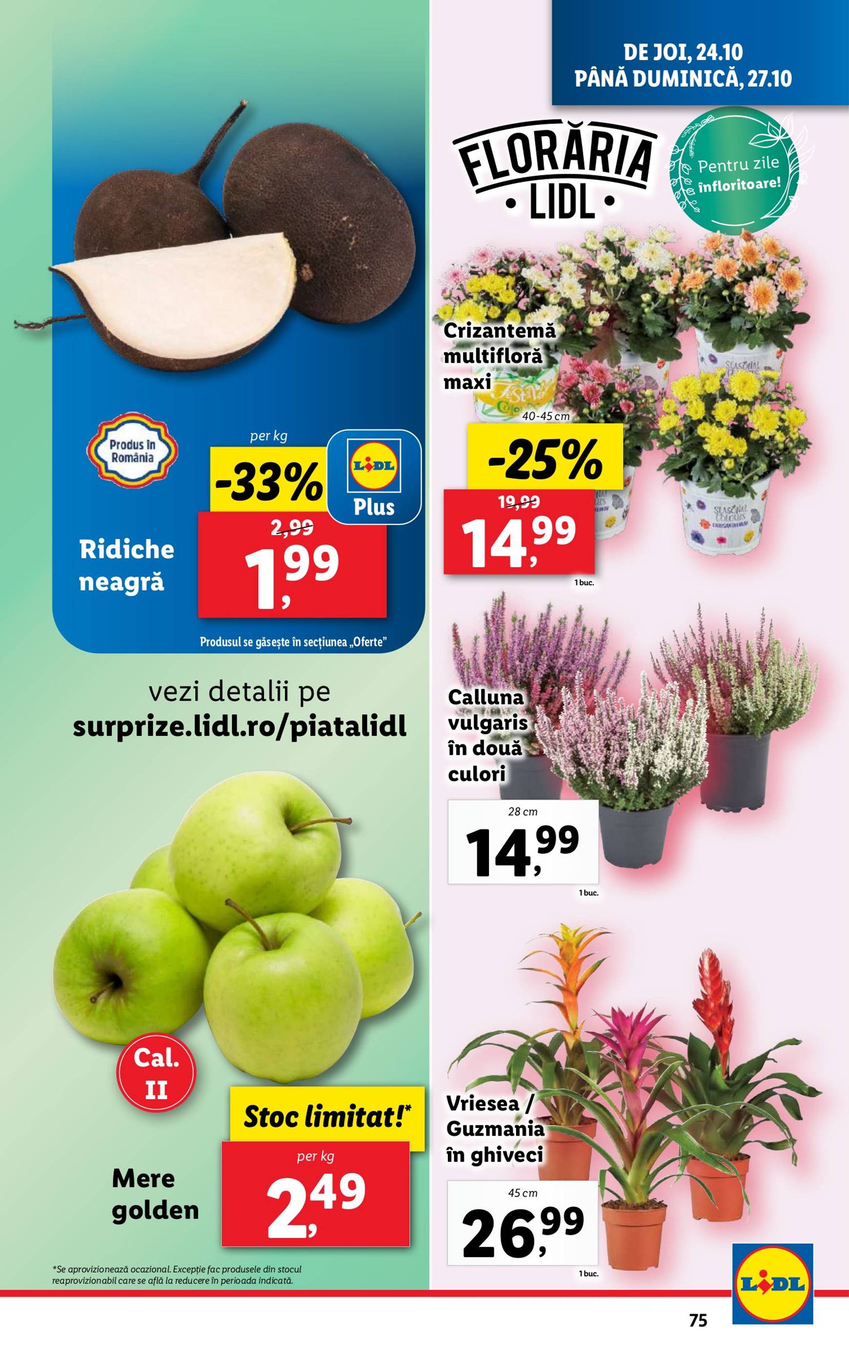 Catalog Lidl valabil din 21.10. - 27.10. 75