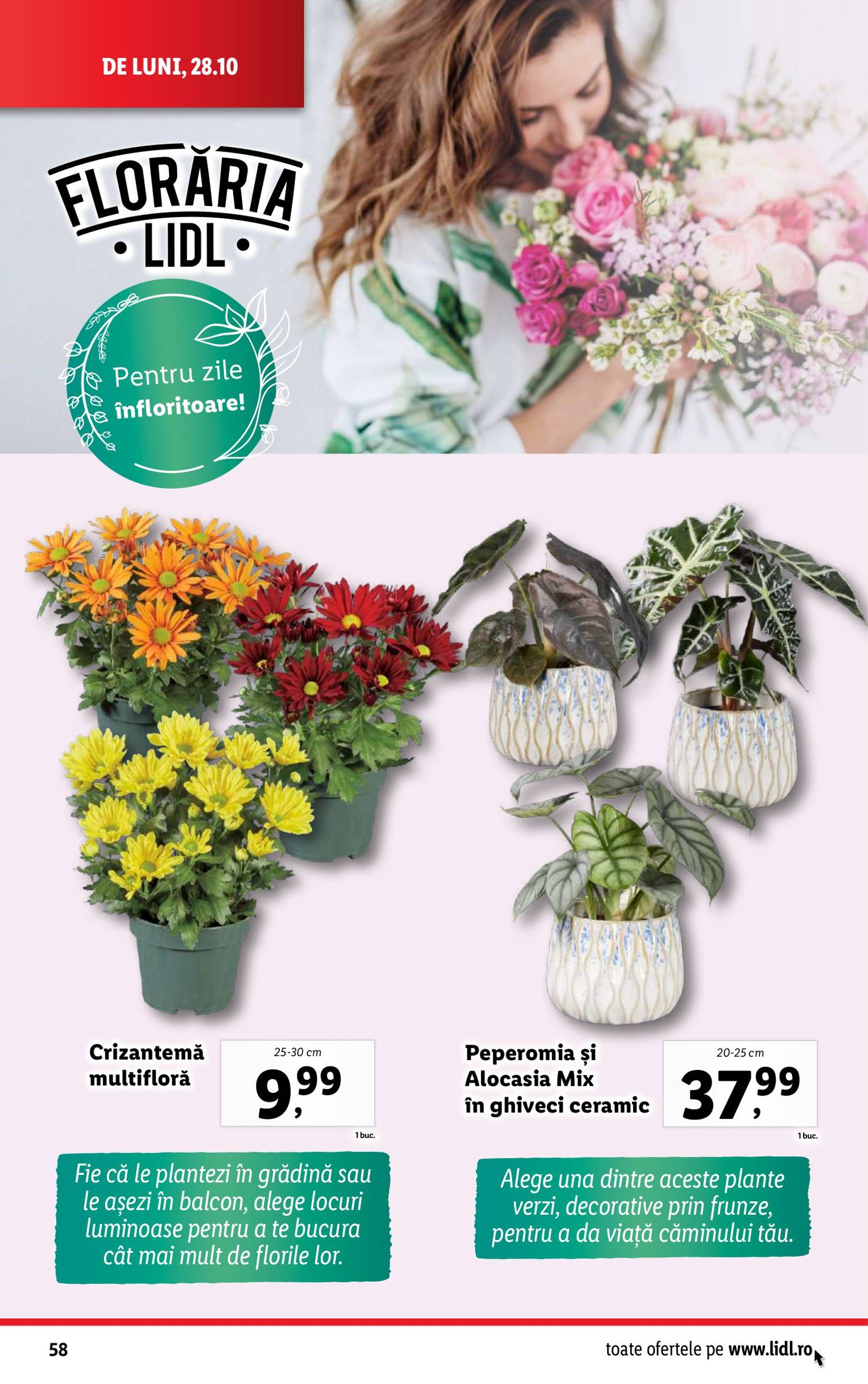 Catalog Lidl valabil din 28.10. - 03.11. 58