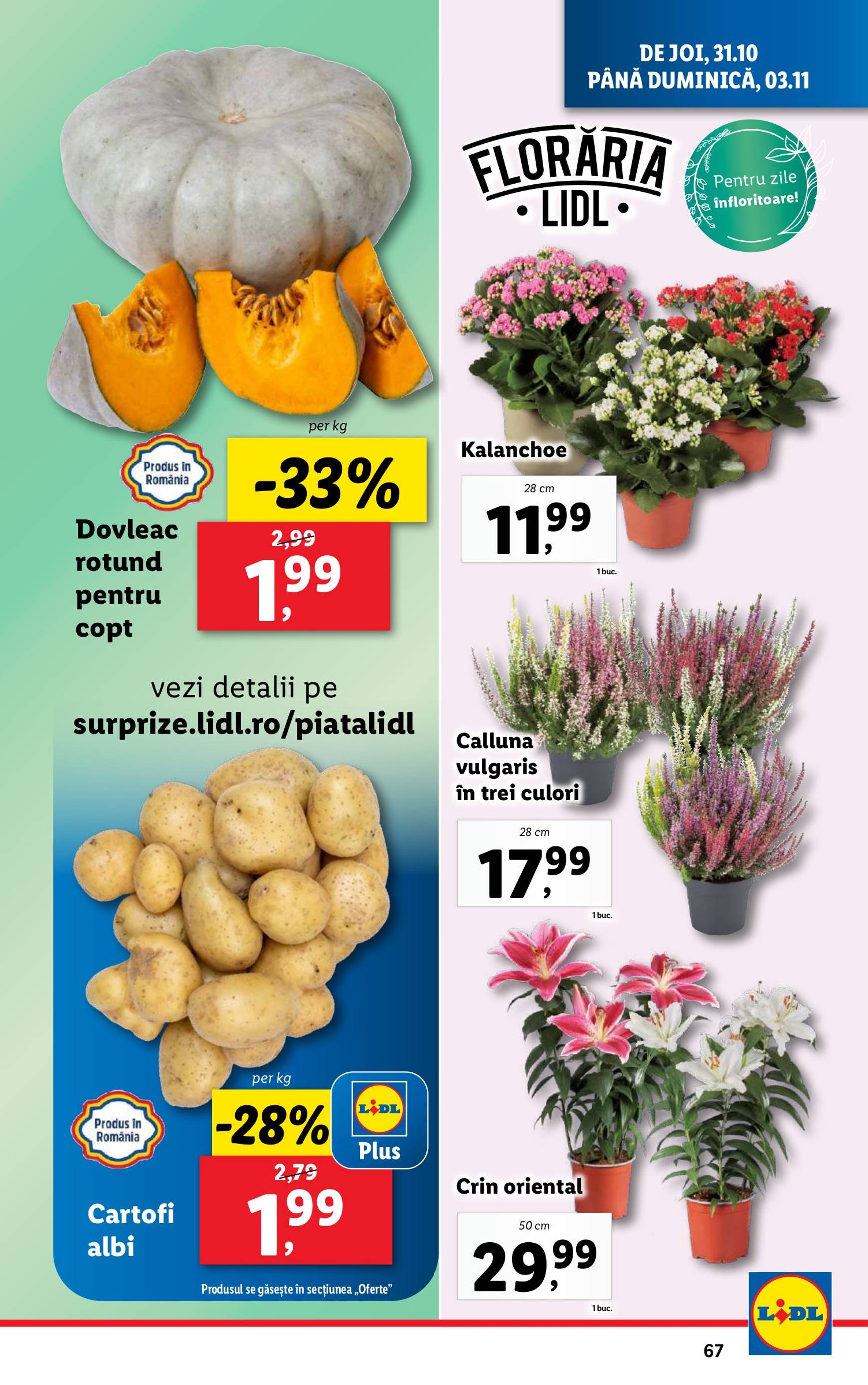 Catalog Lidl valabil din 28.10. - 03.11. 67