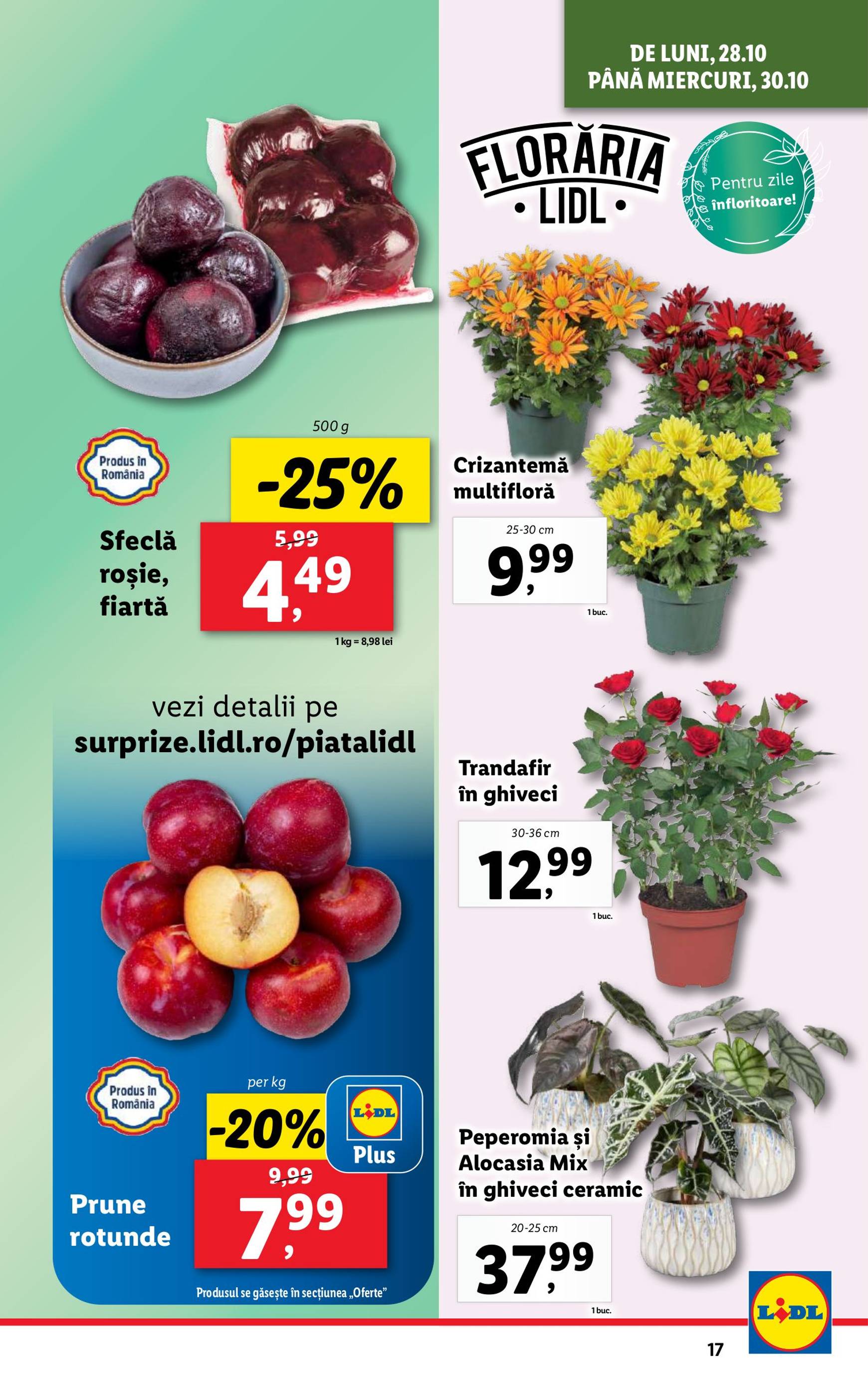 Catalog Lidl valabil din 28.10. - 03.11. 17