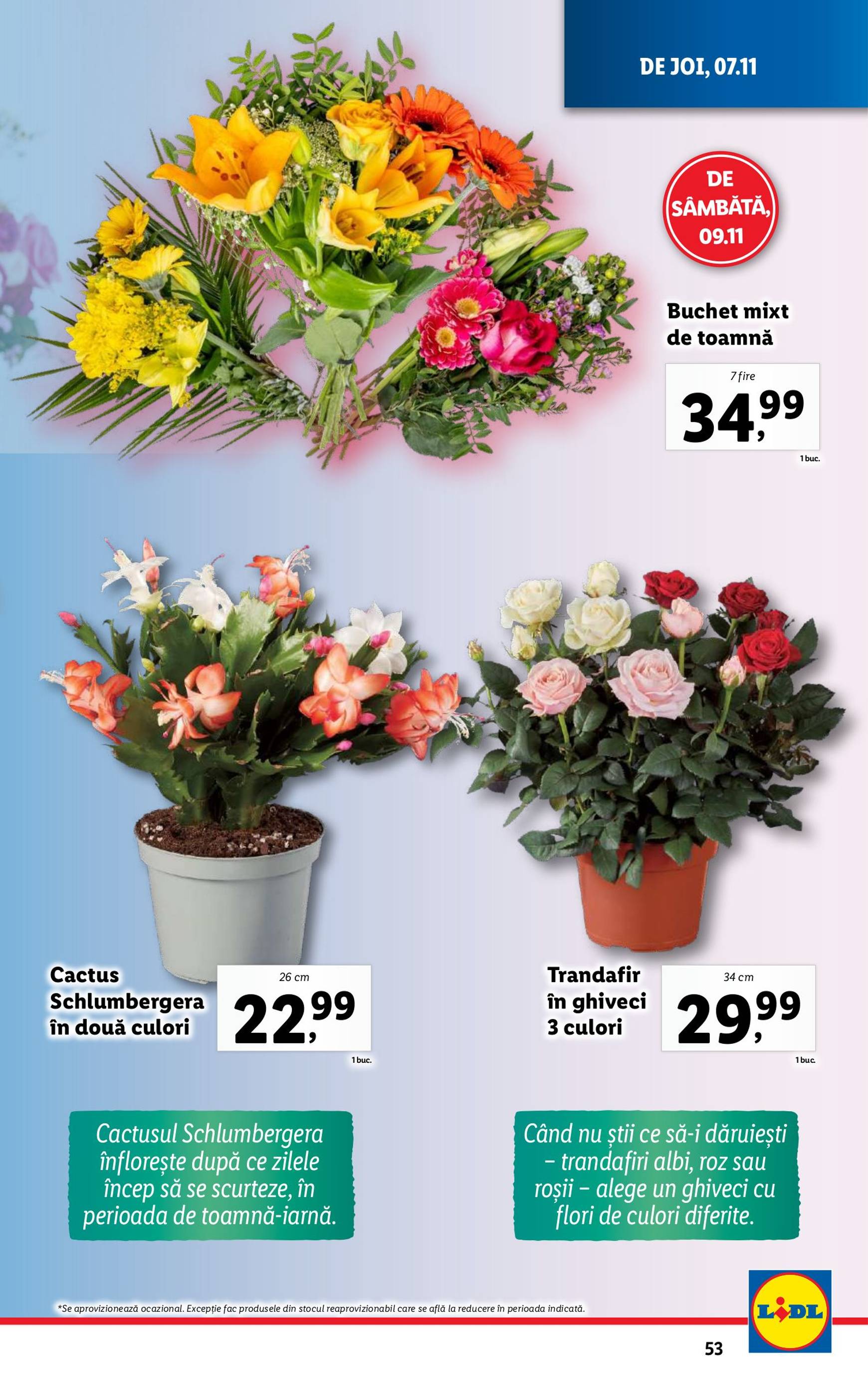 Catalog Lidl valabil din 04.11. - 10.11. 53