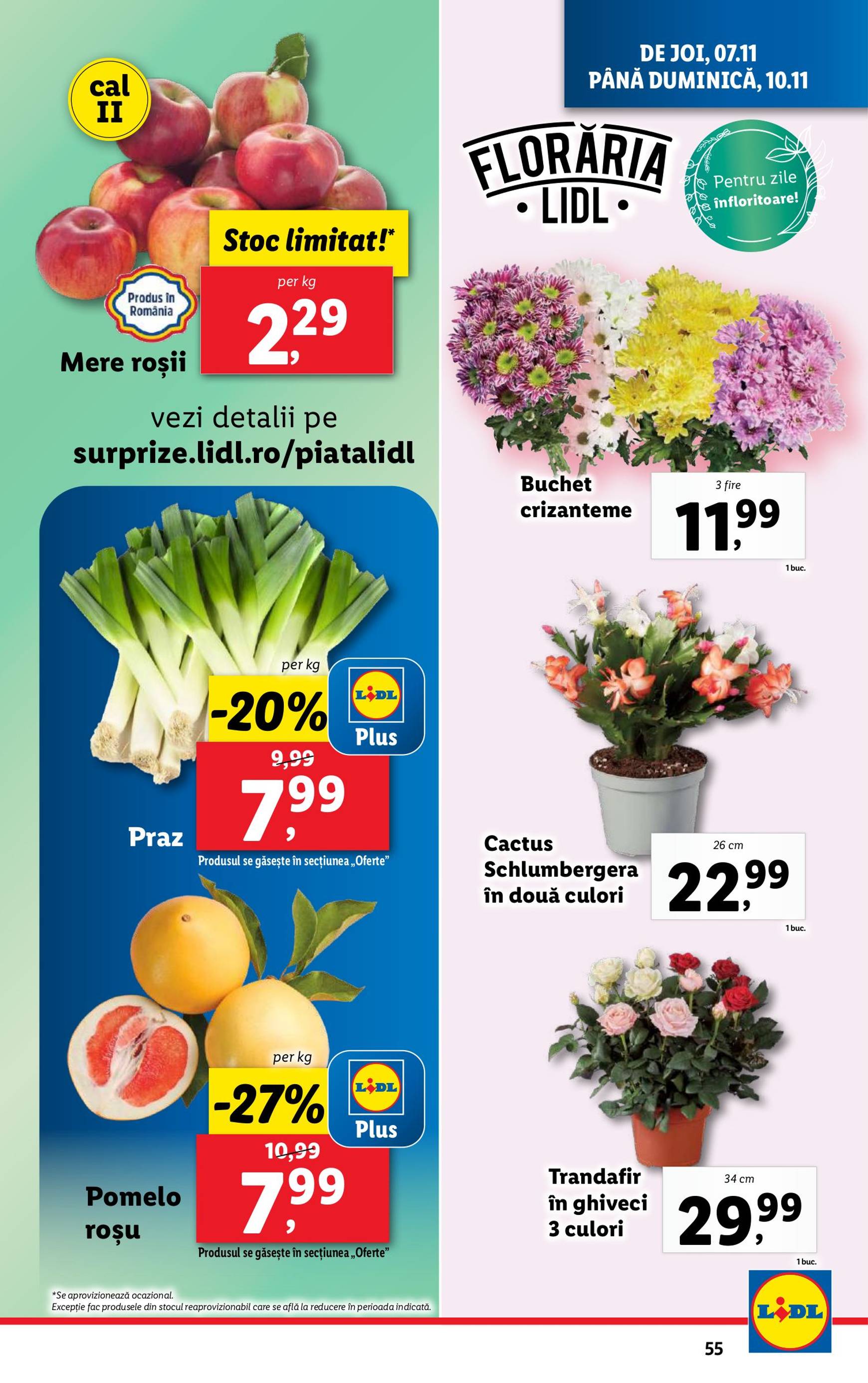 Catalog Lidl valabil din 04.11. - 10.11. 55