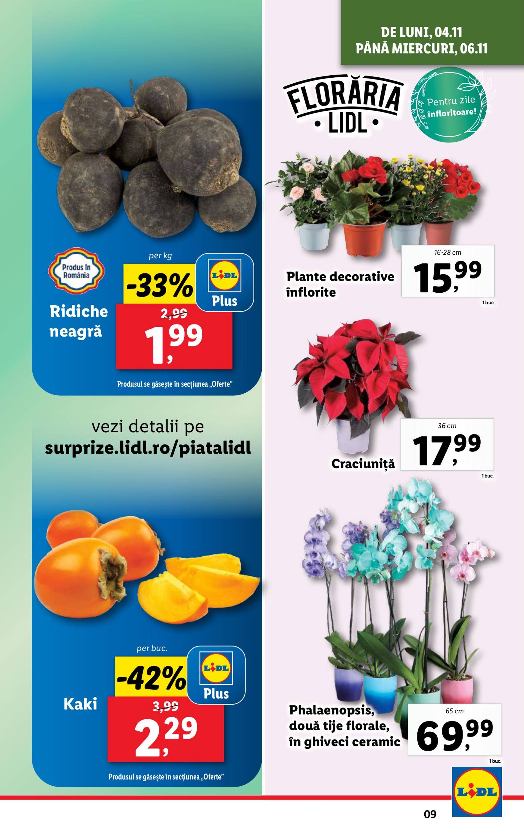 Catalog Lidl valabil din 04.11. - 10.11. 9