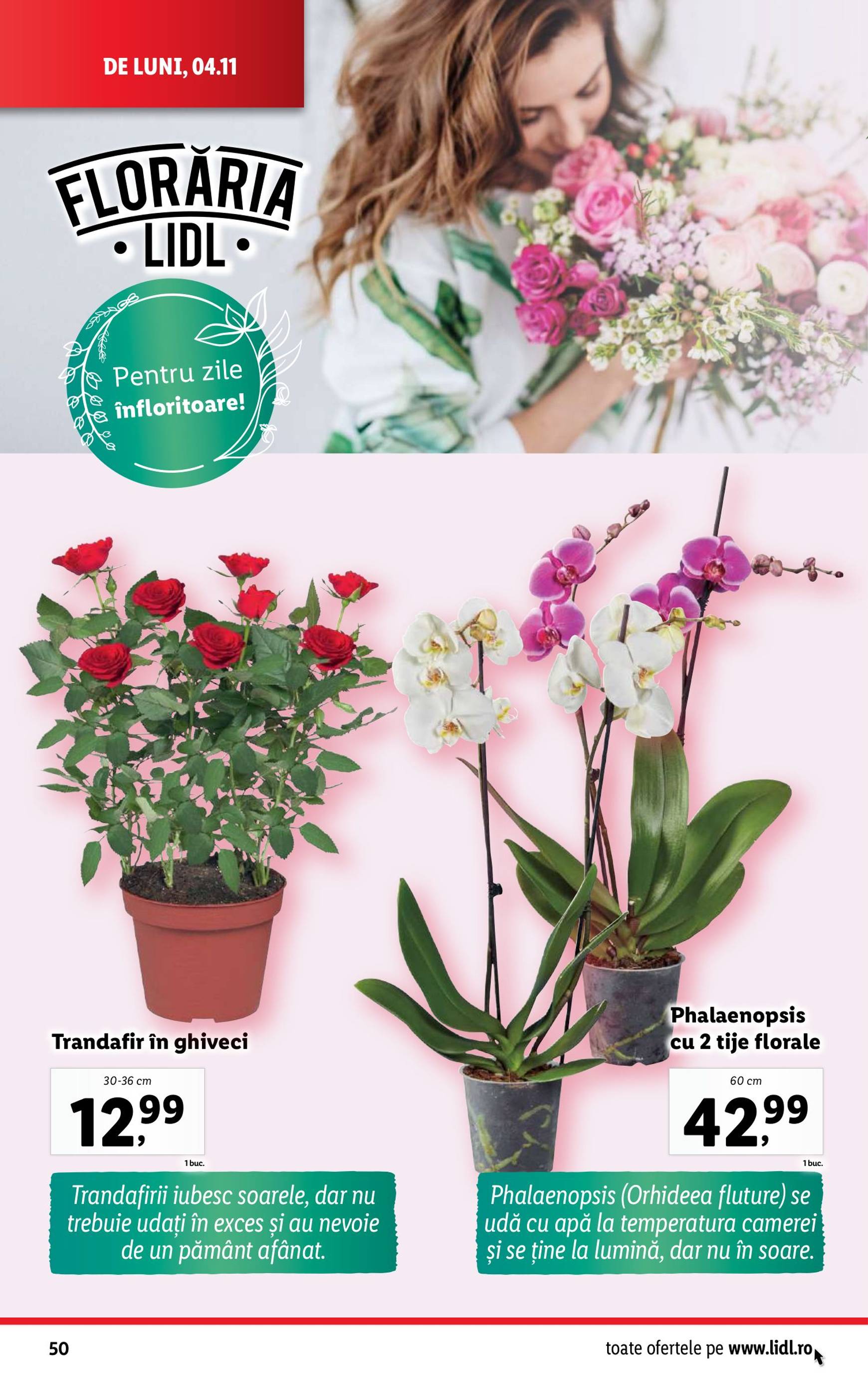 Catalog Lidl valabil din 04.11. - 10.11. 50