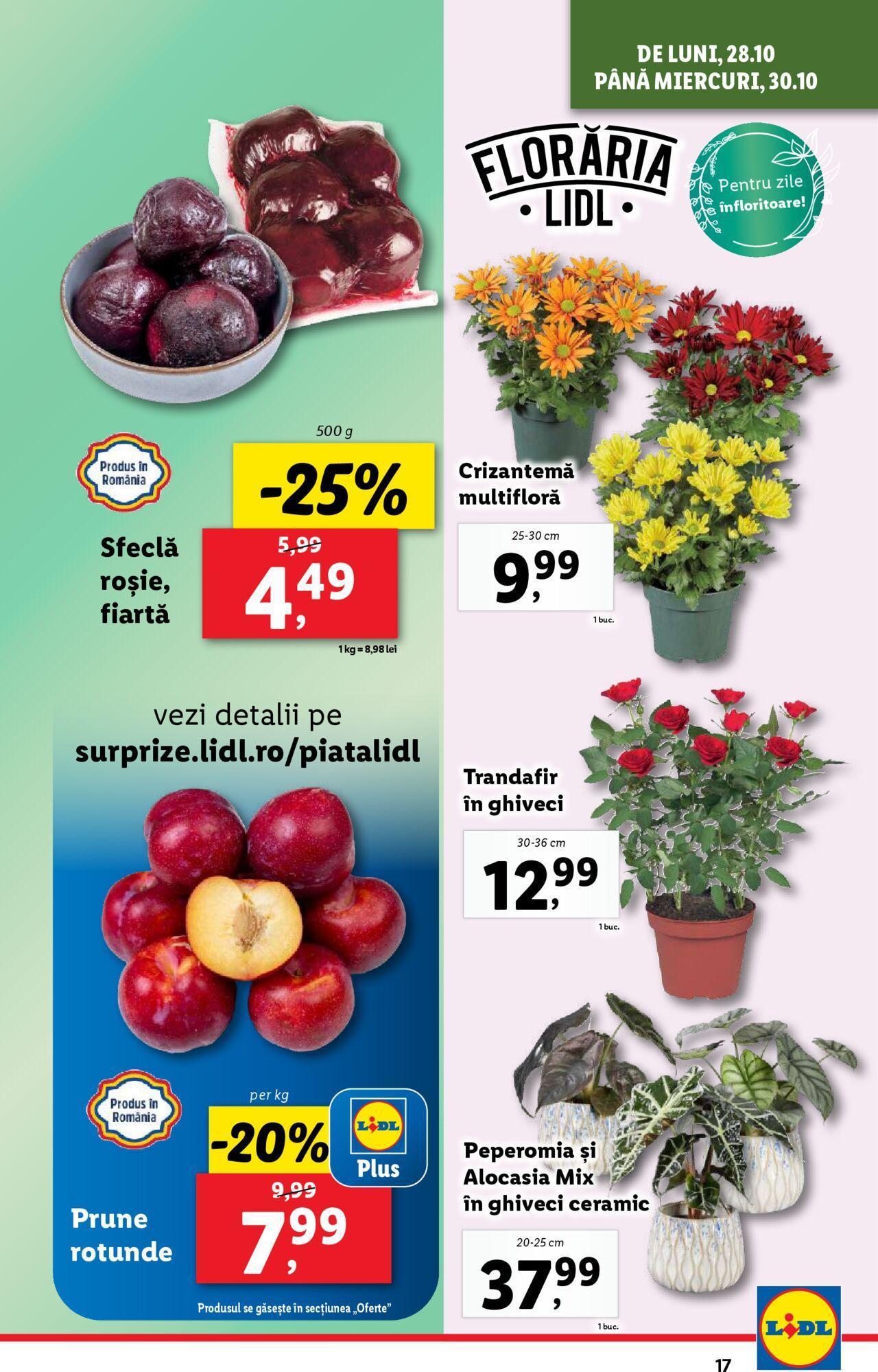 Catalog LIDL 28.10.2024 - 03.11.2024 17