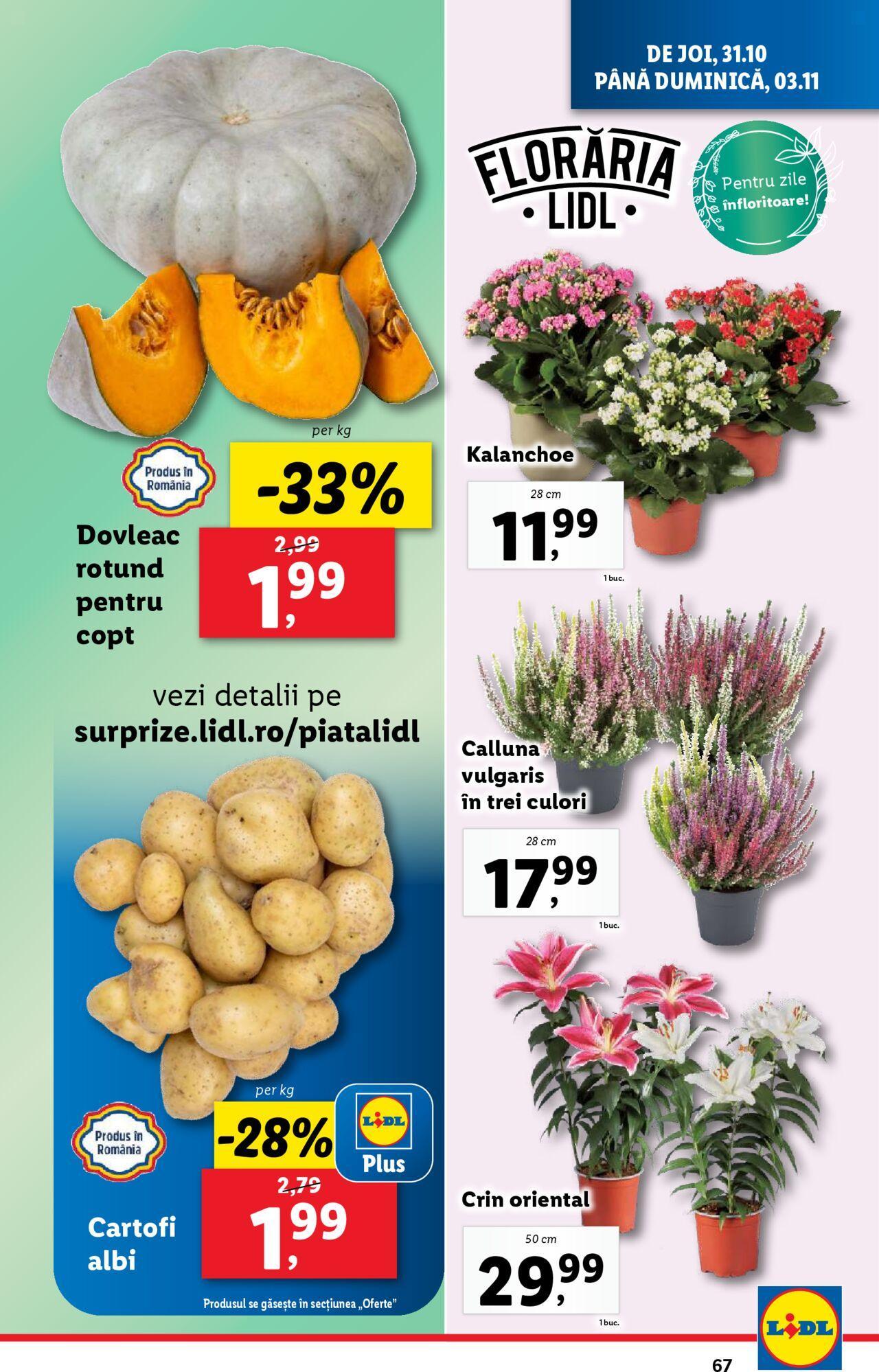 Catalog LIDL 28.10.2024 - 03.11.2024 67