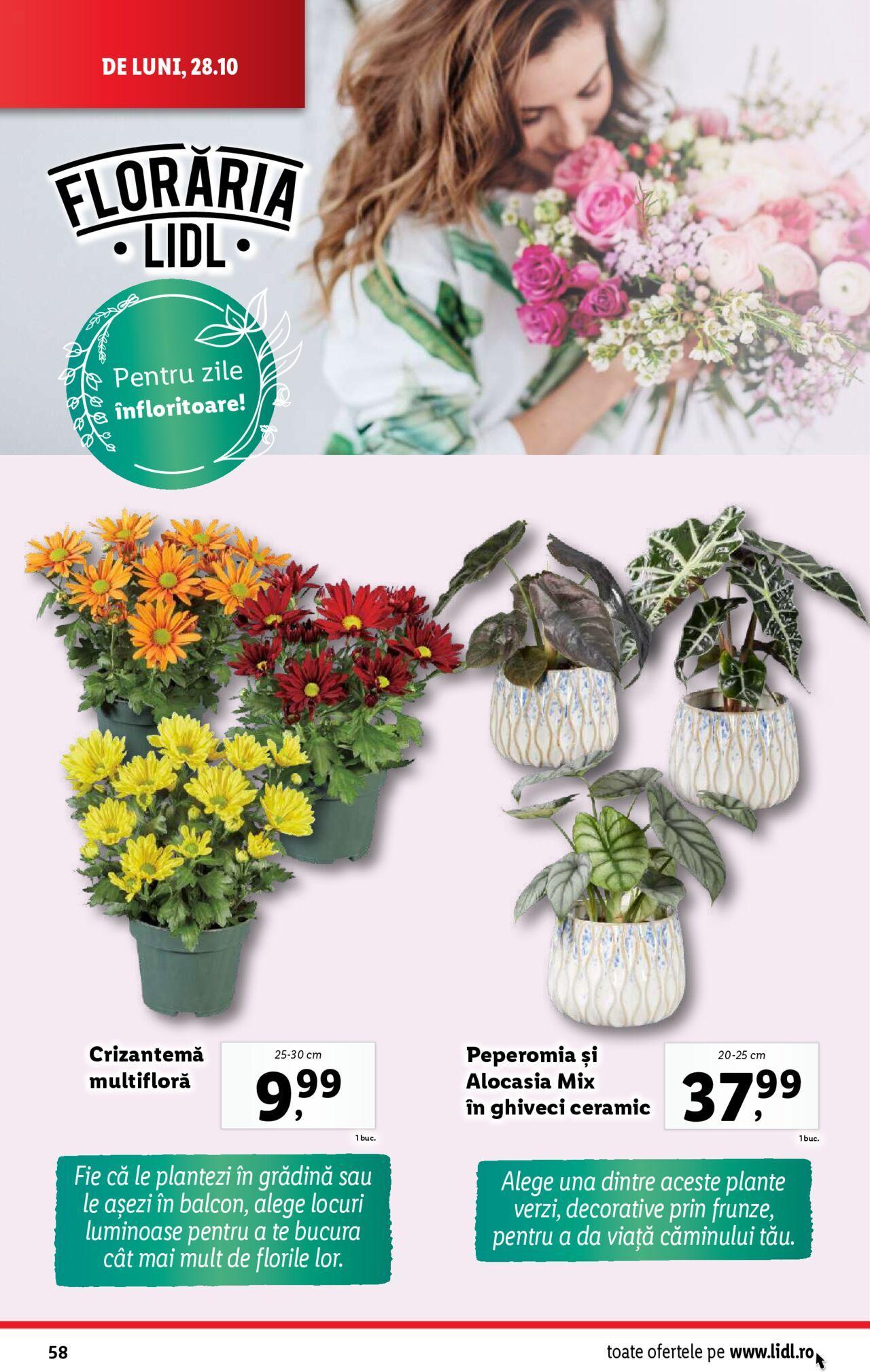 Catalog LIDL 28.10.2024 - 03.11.2024 58