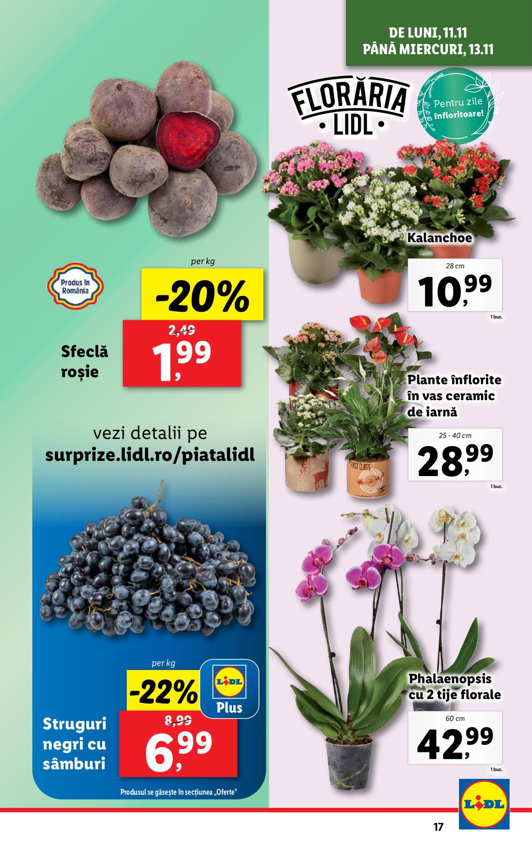 Catalog Lidl valabil din 11.11. - 17.11. 17