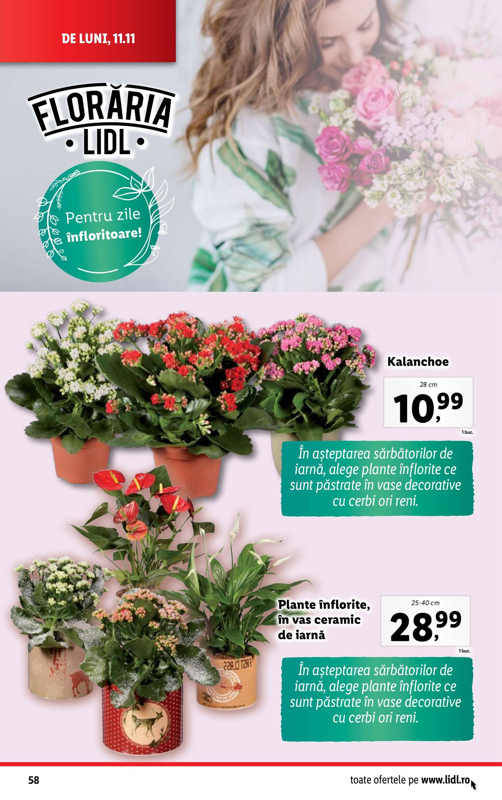 Catalog Lidl valabil din 11.11. - 17.11. 58