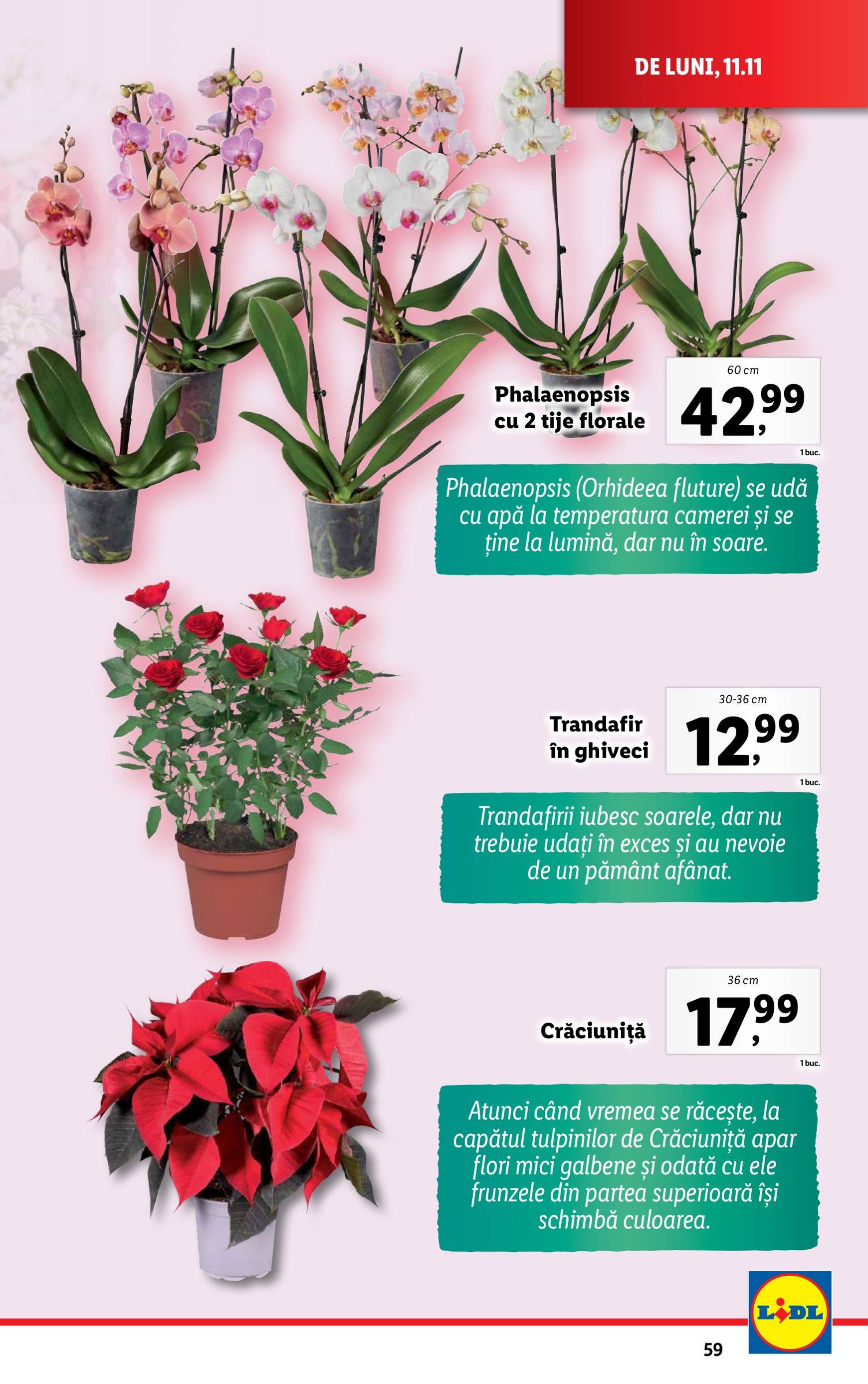 Catalog Lidl valabil din 11.11. - 17.11. 59