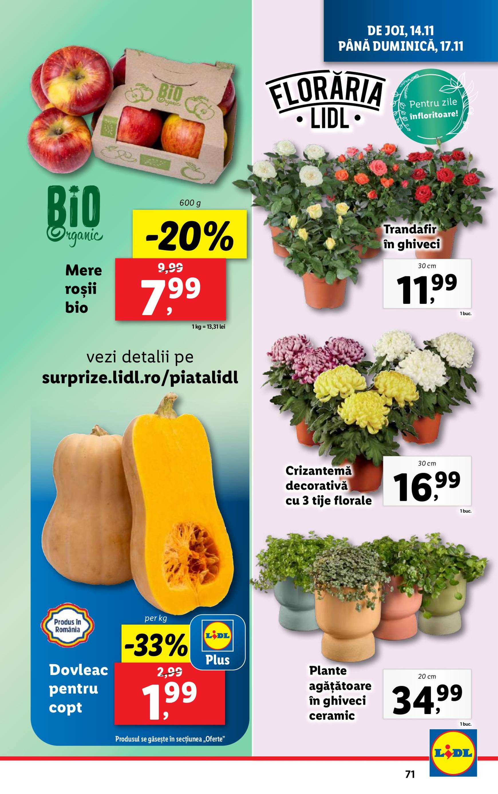 Catalog Lidl valabil din 11.11. - 17.11. 71