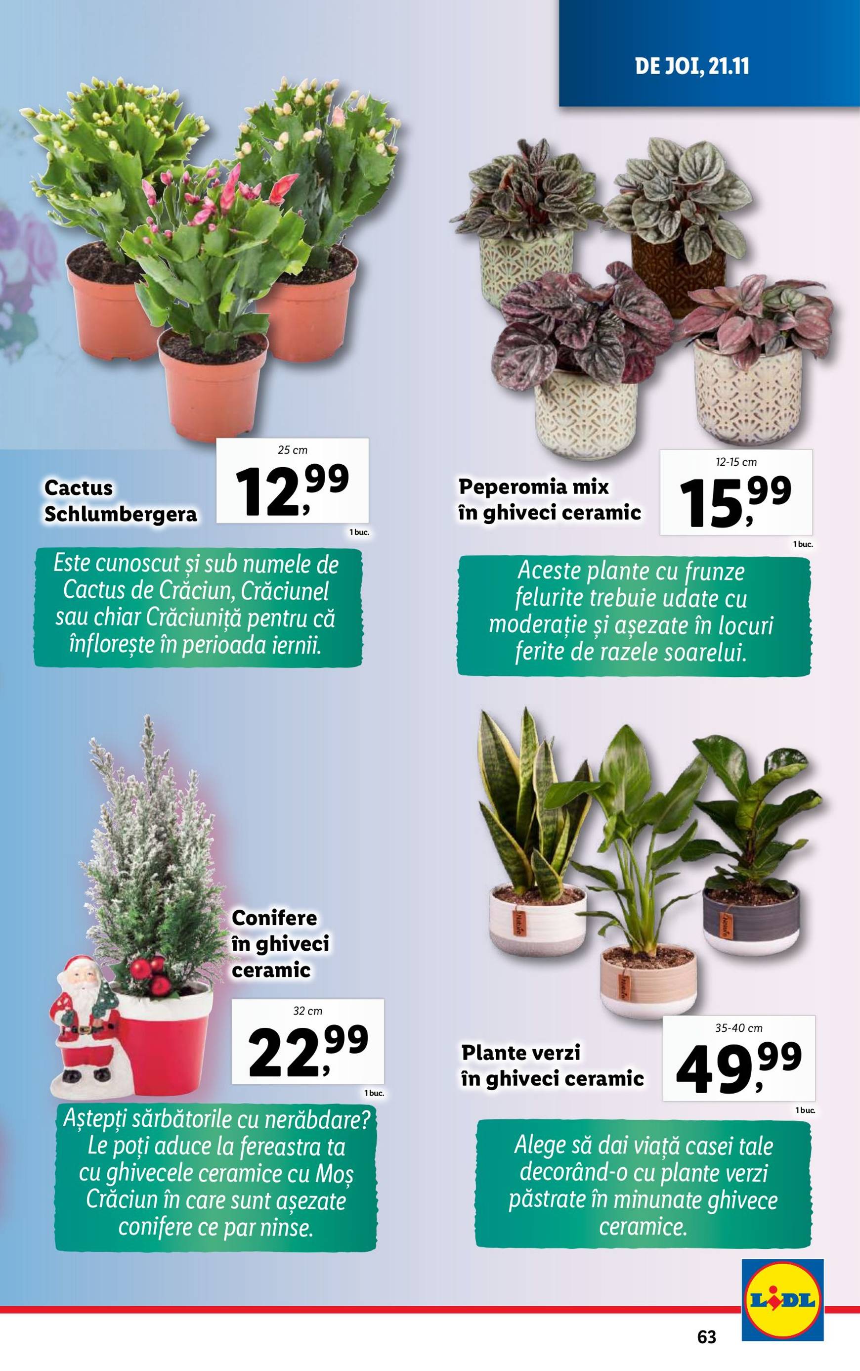 Catalog Lidl valabil din 18.11. - 24.11. 63