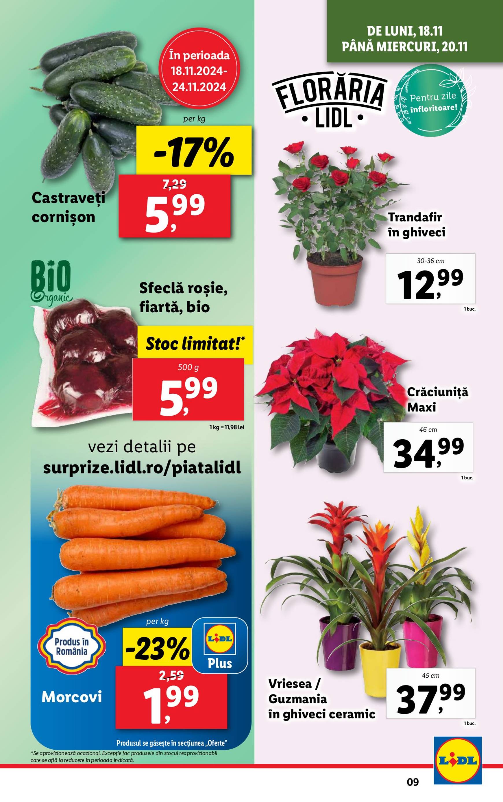 Catalog Lidl valabil din 18.11. - 24.11. 9