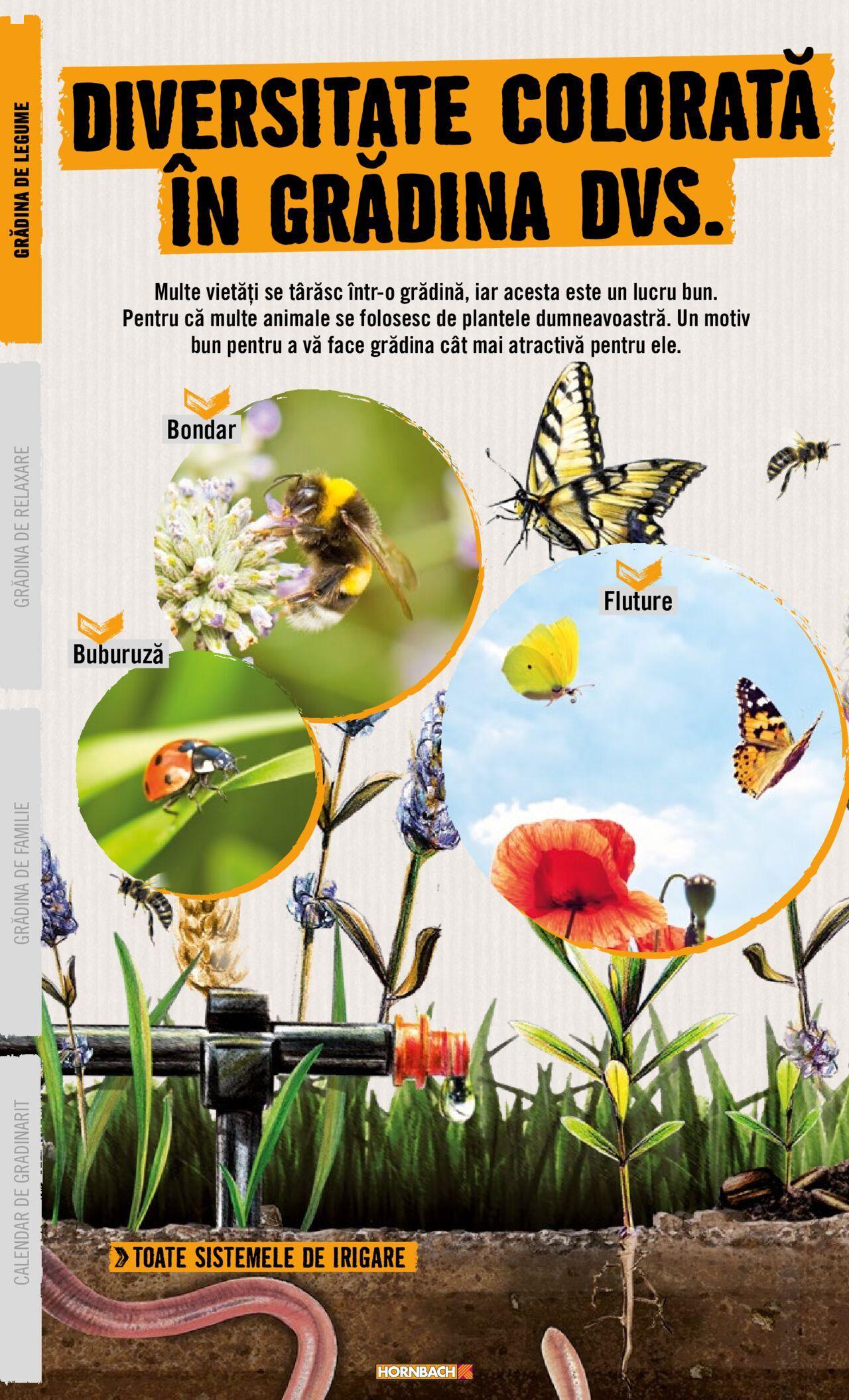 Hornbach catalog - Grădină de luni 22.04.2024 12