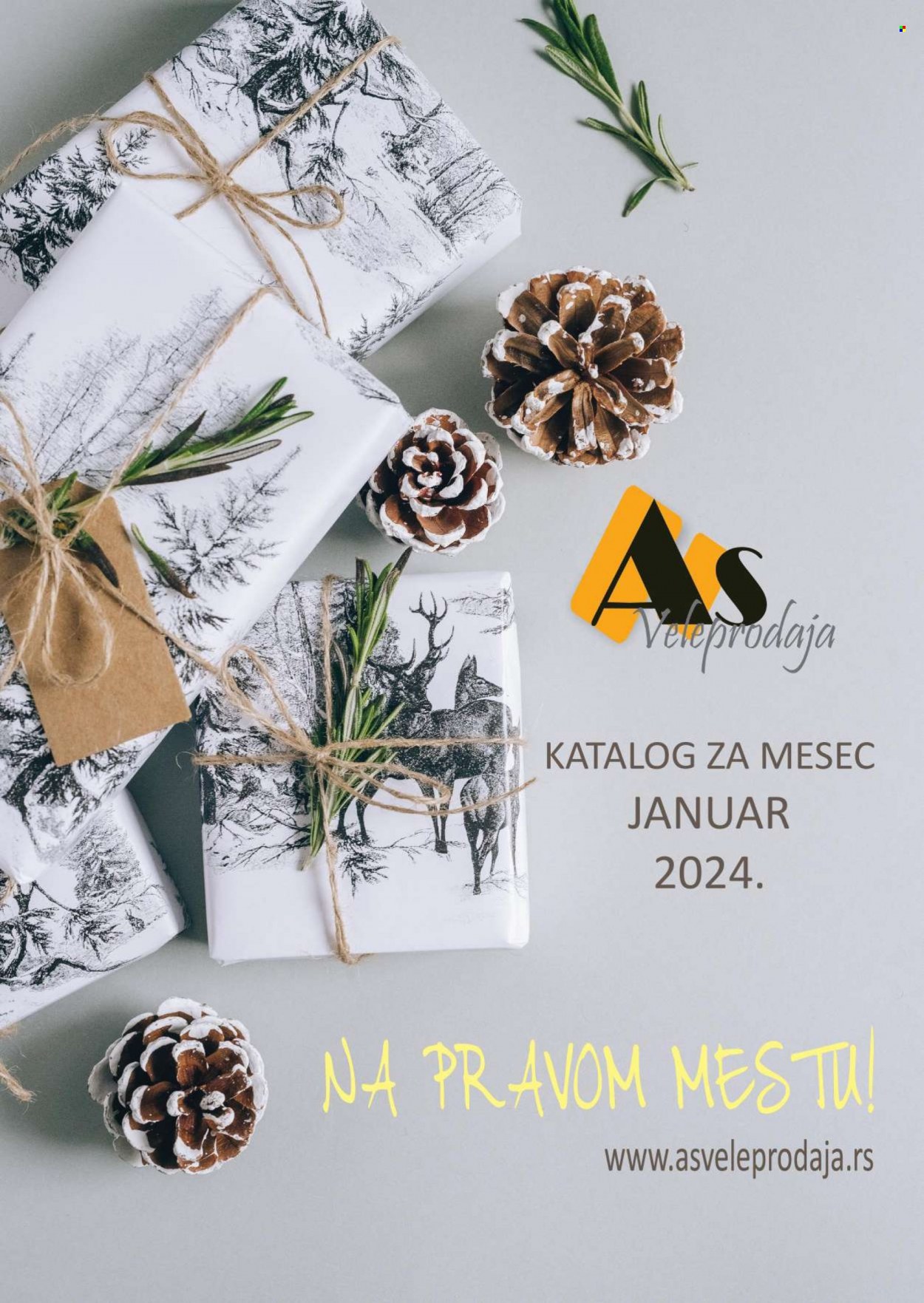 AS Veleprodaja katalog - 01.01.-31.01.2024