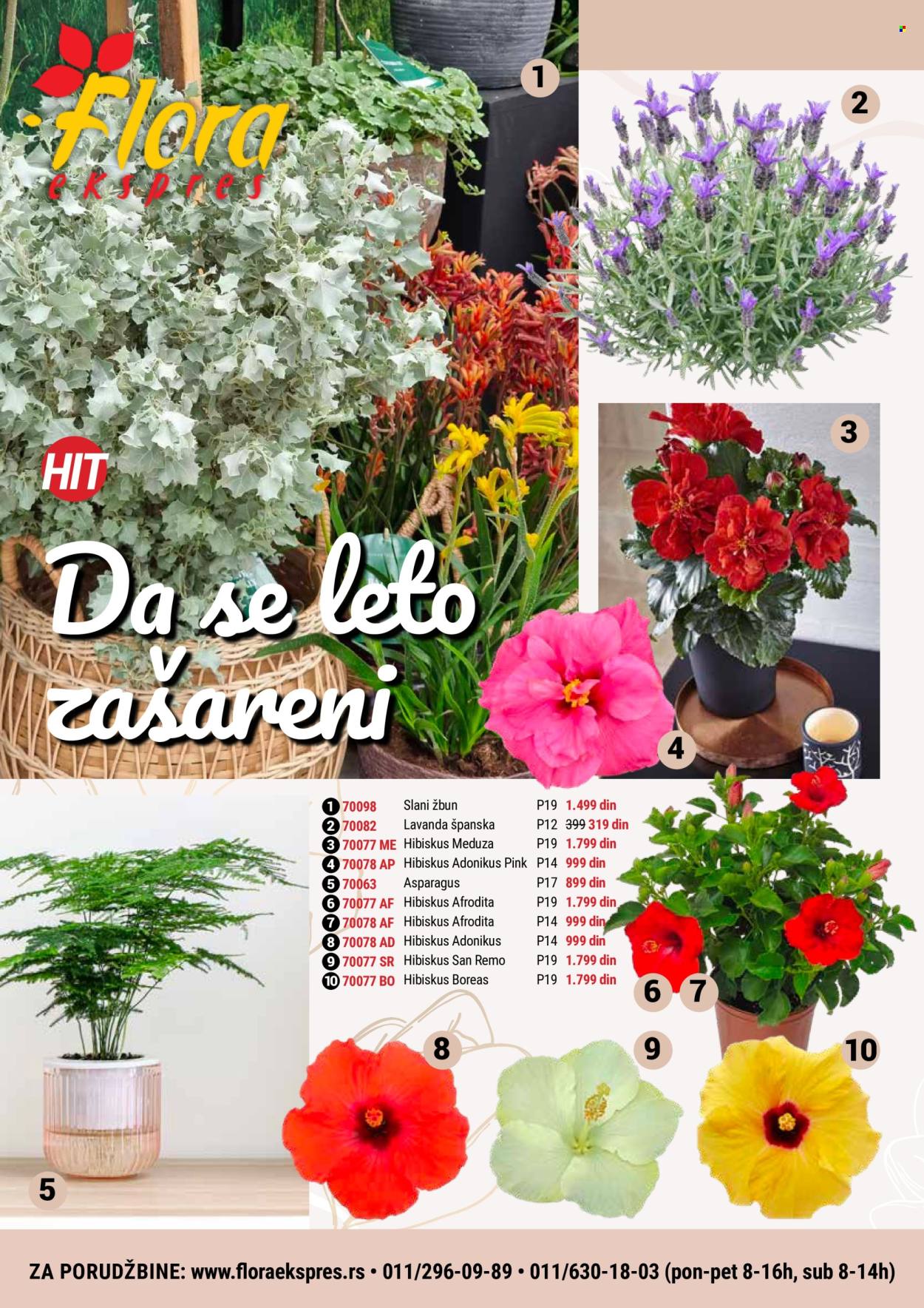 Flora Ekspres katalog jun 2024 - strana 1