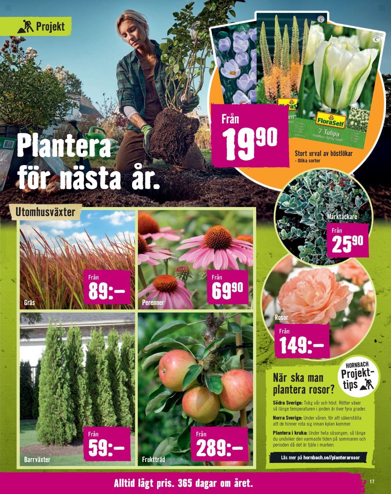 Hornbach - erbjudanden från 01/10/2024 - 31/10/2024 17