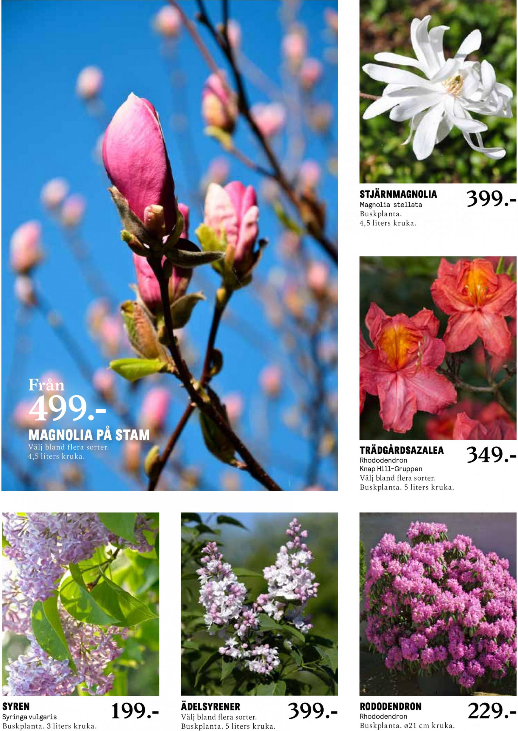 Flyer Blomster Landet current 01.04. - 21.04. 4