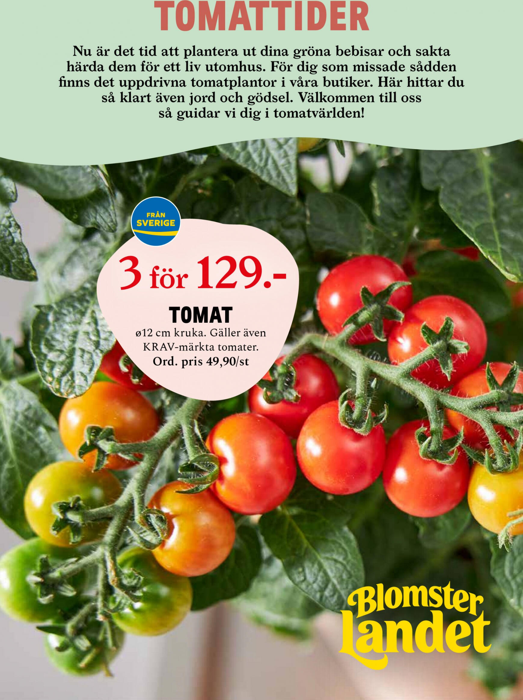 Flyer Blomster Landet current 29.04. - 05.05.