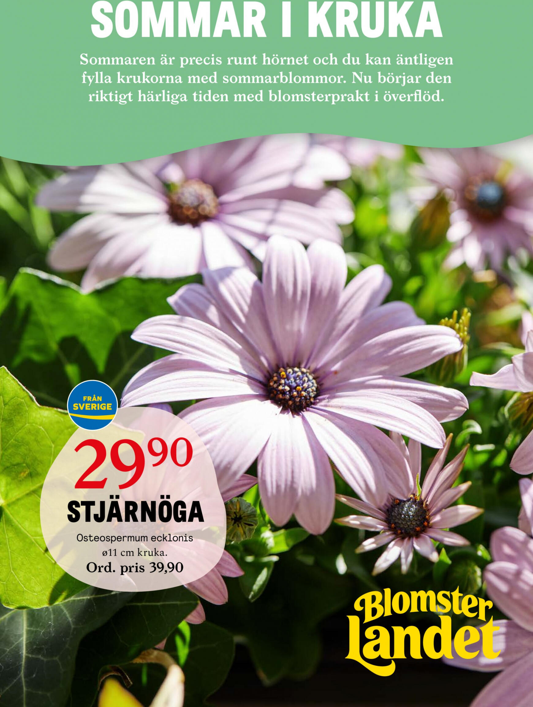 Flyer Blomster Landet current 27.05. - 02.06.