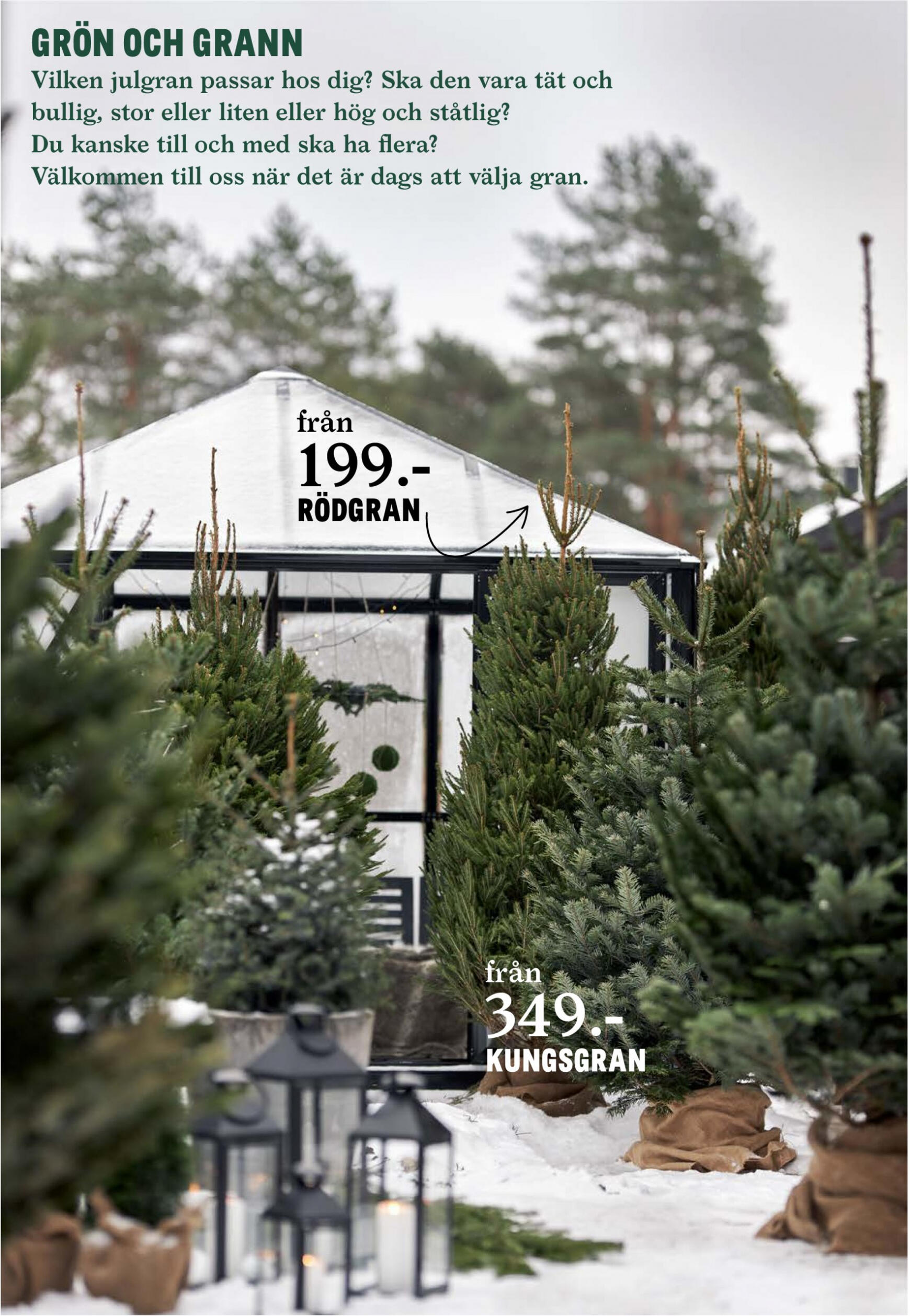 Blomster Landet giltigt från och med 27.11.2023 6