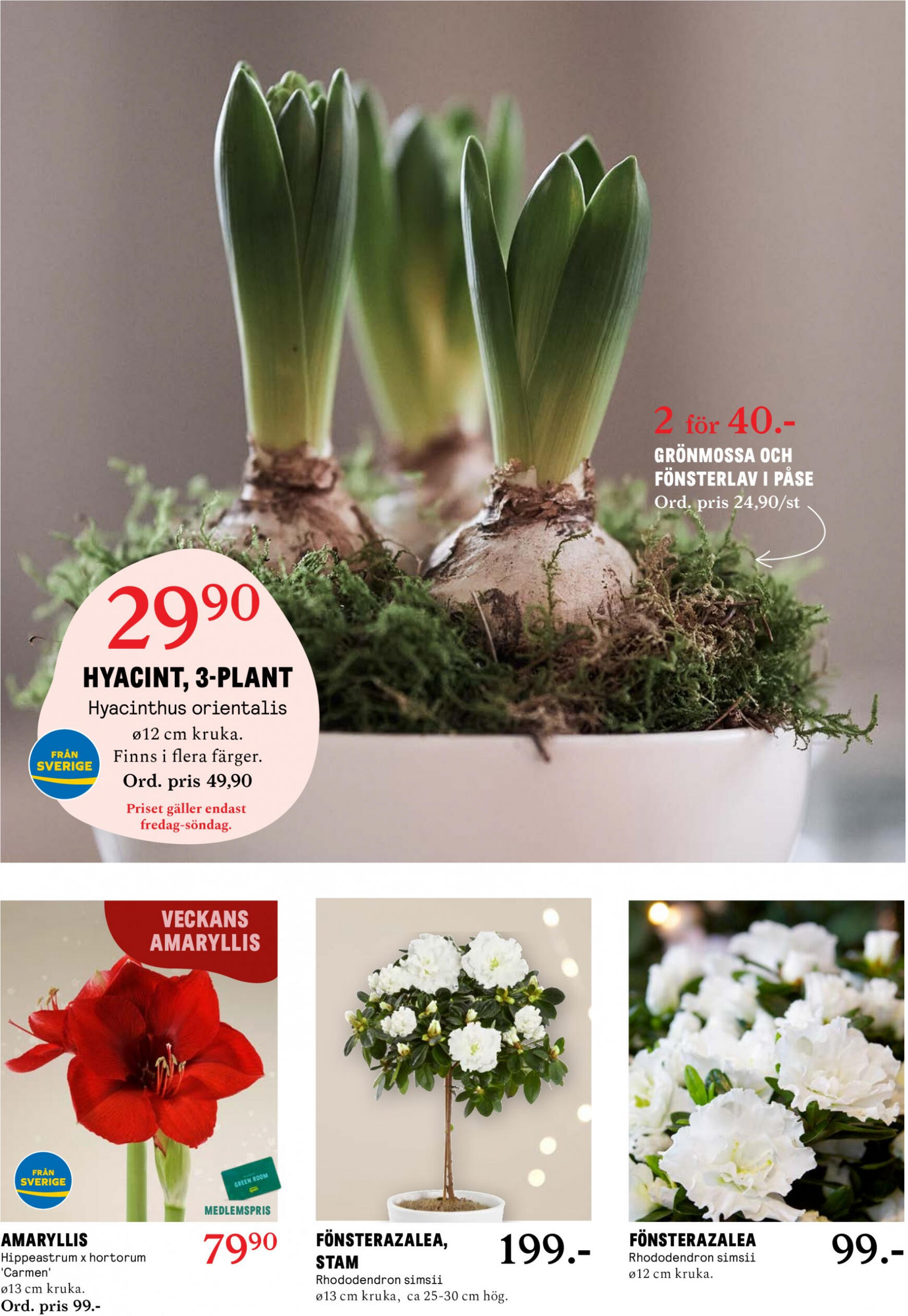 Blomster Landet giltigt från och med 27.11.2023 2