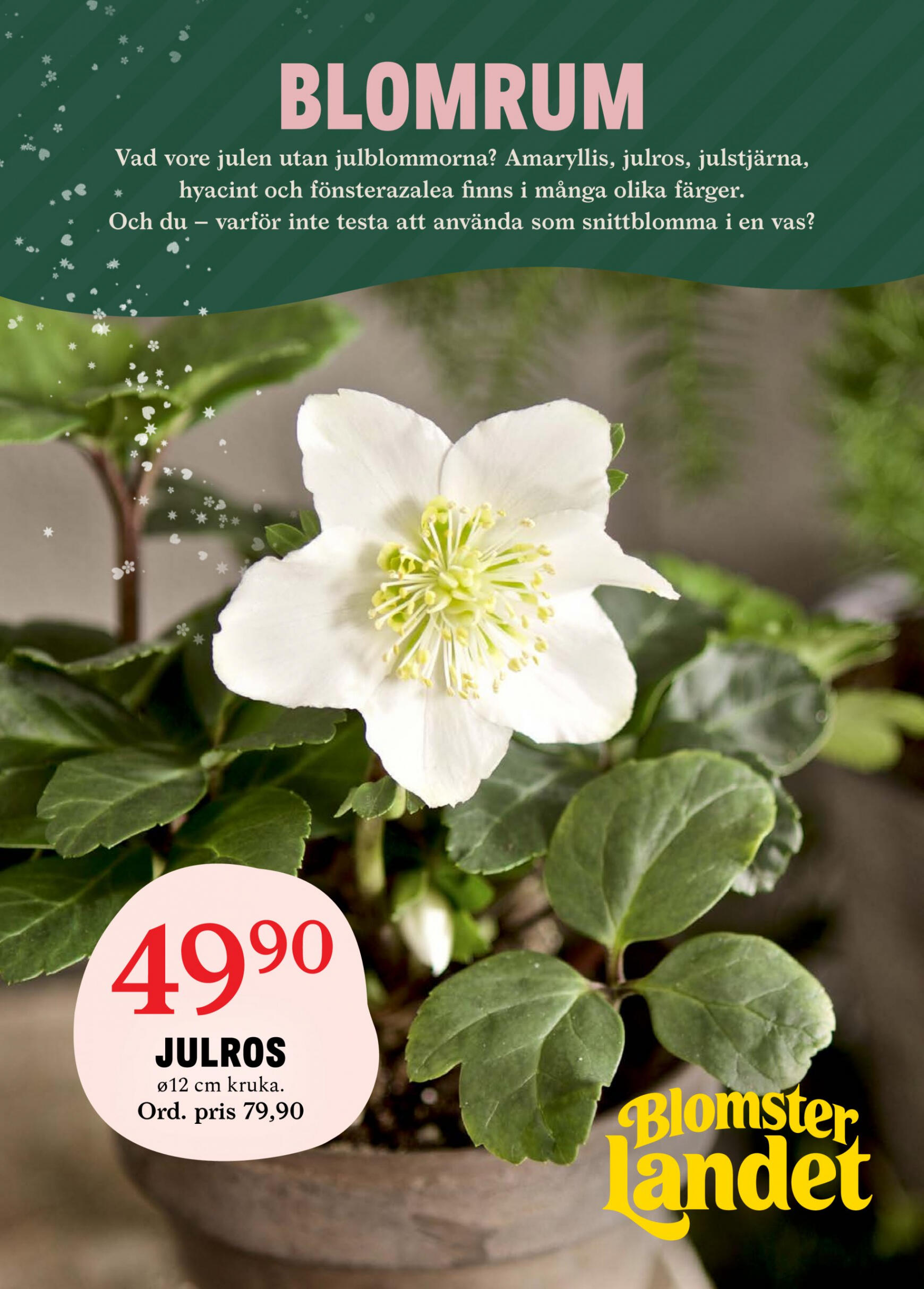 Blomster Landet giltigt från och med 11.12.2023