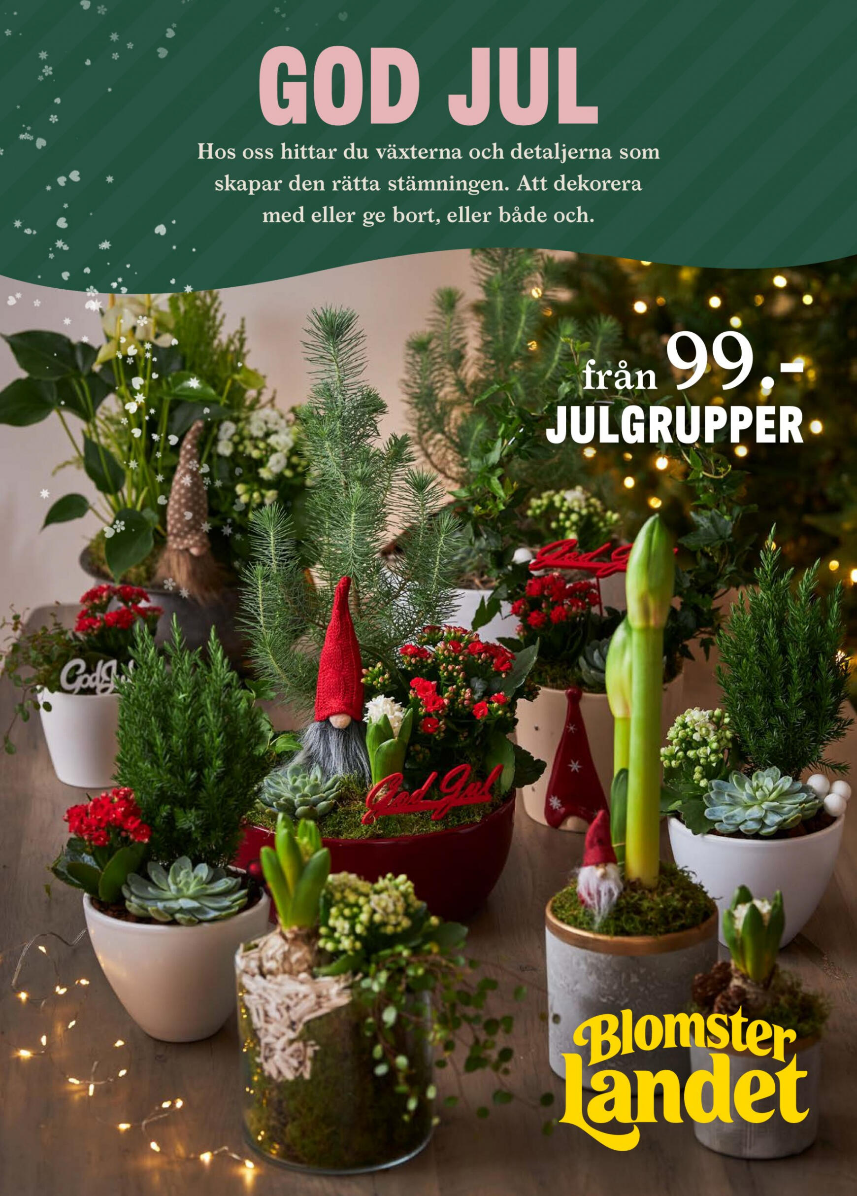 Blomster Landet - Blomsterlandet giltigt från och med 18.12.2023