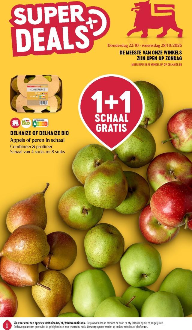 Delhaize boekje
