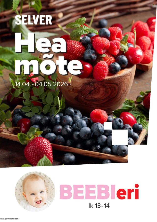 Selver kataloog