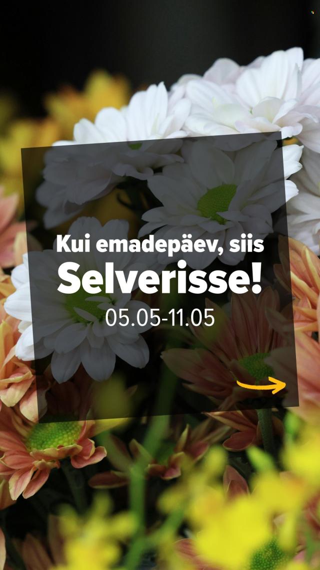 Selver kataloog