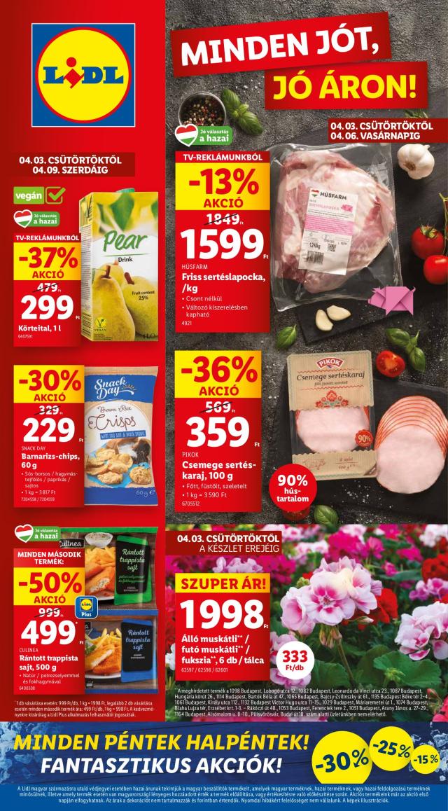 Lidl katalógus