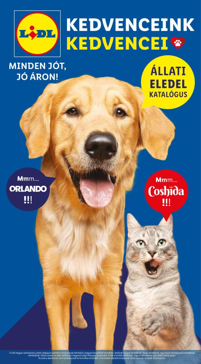 LIDL Katalógus