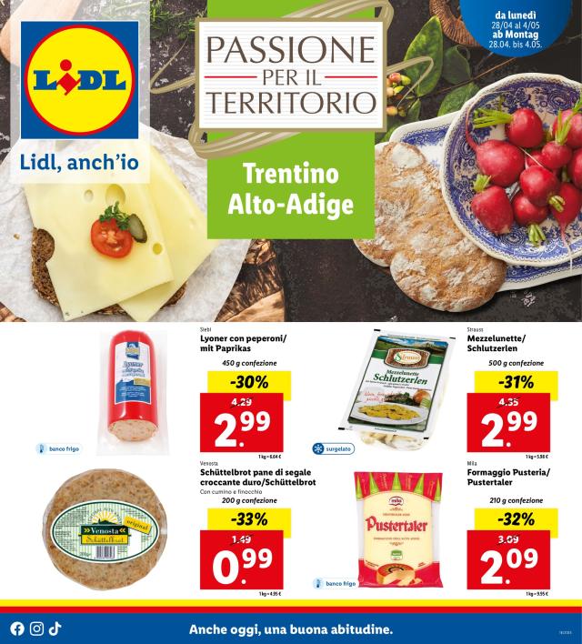LIDL Catalogo