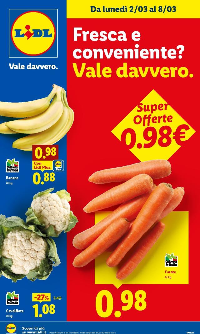 Catalogo LIDL