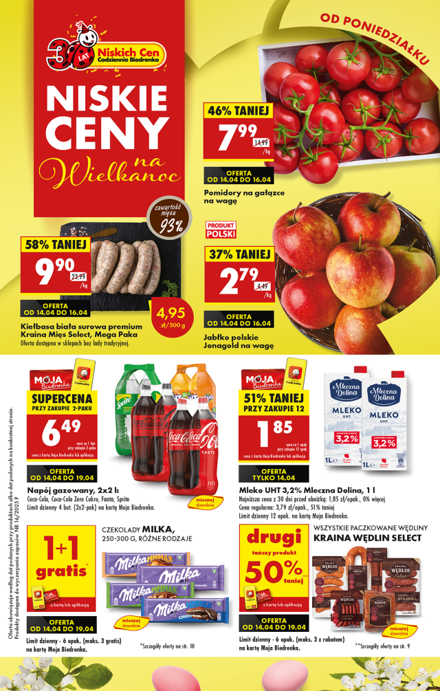 Biedronka Katalog