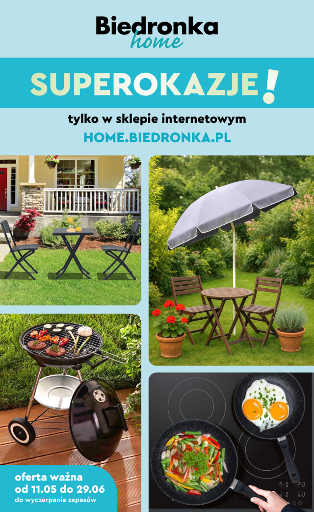 Biedronka katalog