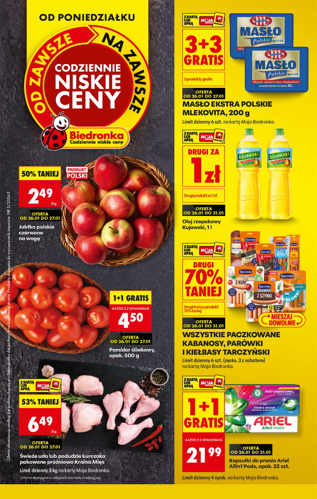 Biedronka katalog