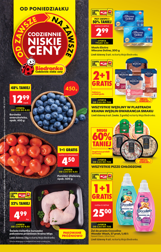 Katalog Biedronka